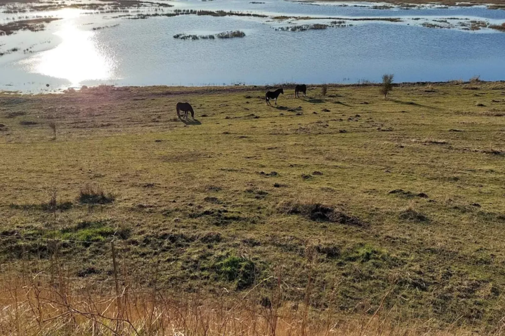 Familiehuisje voor acht gasten-Waterzicht
