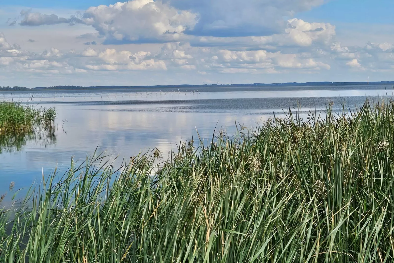 Luxe zwembad retraite -- By Traum Ferienwohnungen-Waterzicht