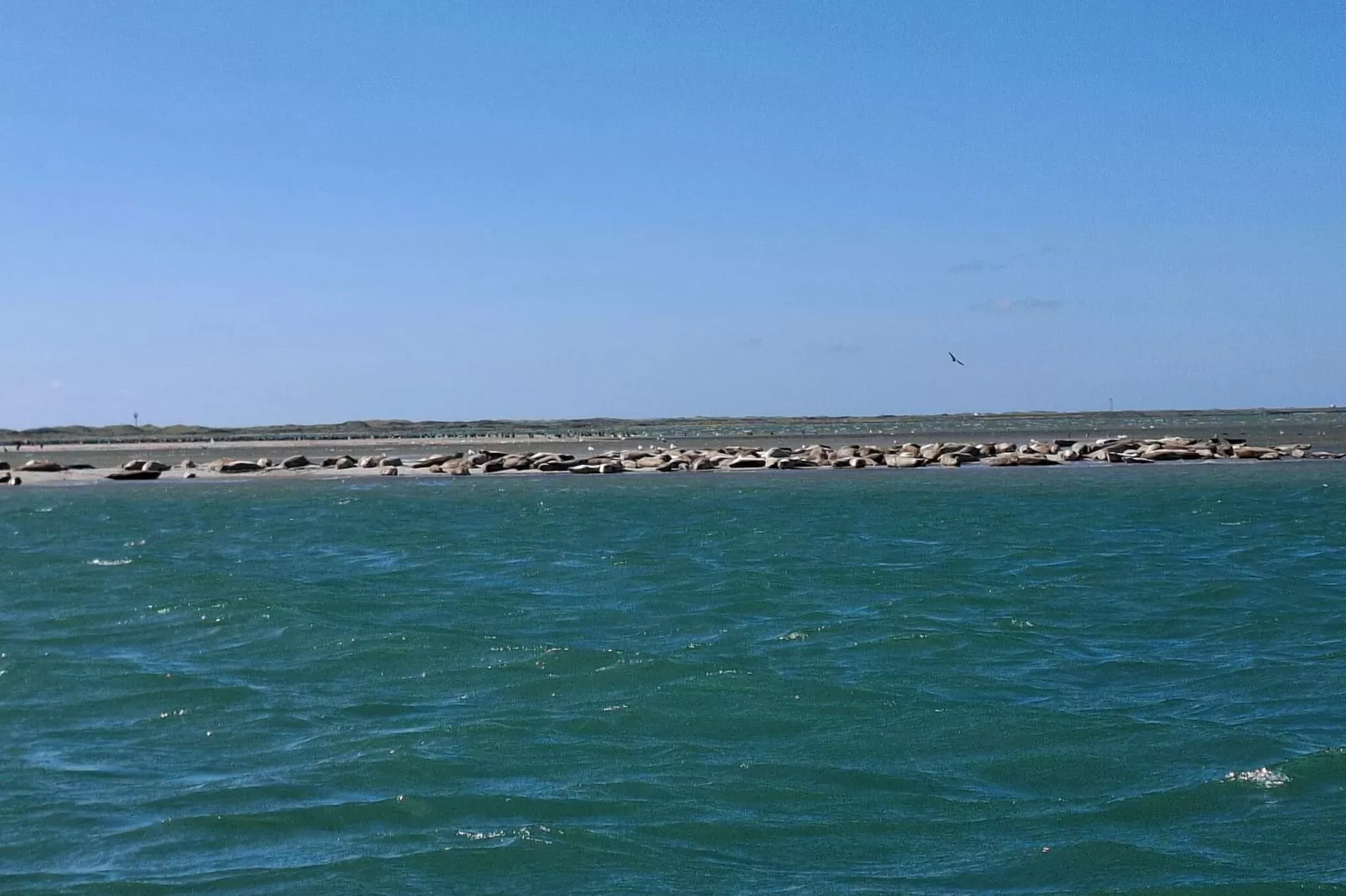 4 persoons vakantie huis in Thyborøn-By Traum-Waterzicht