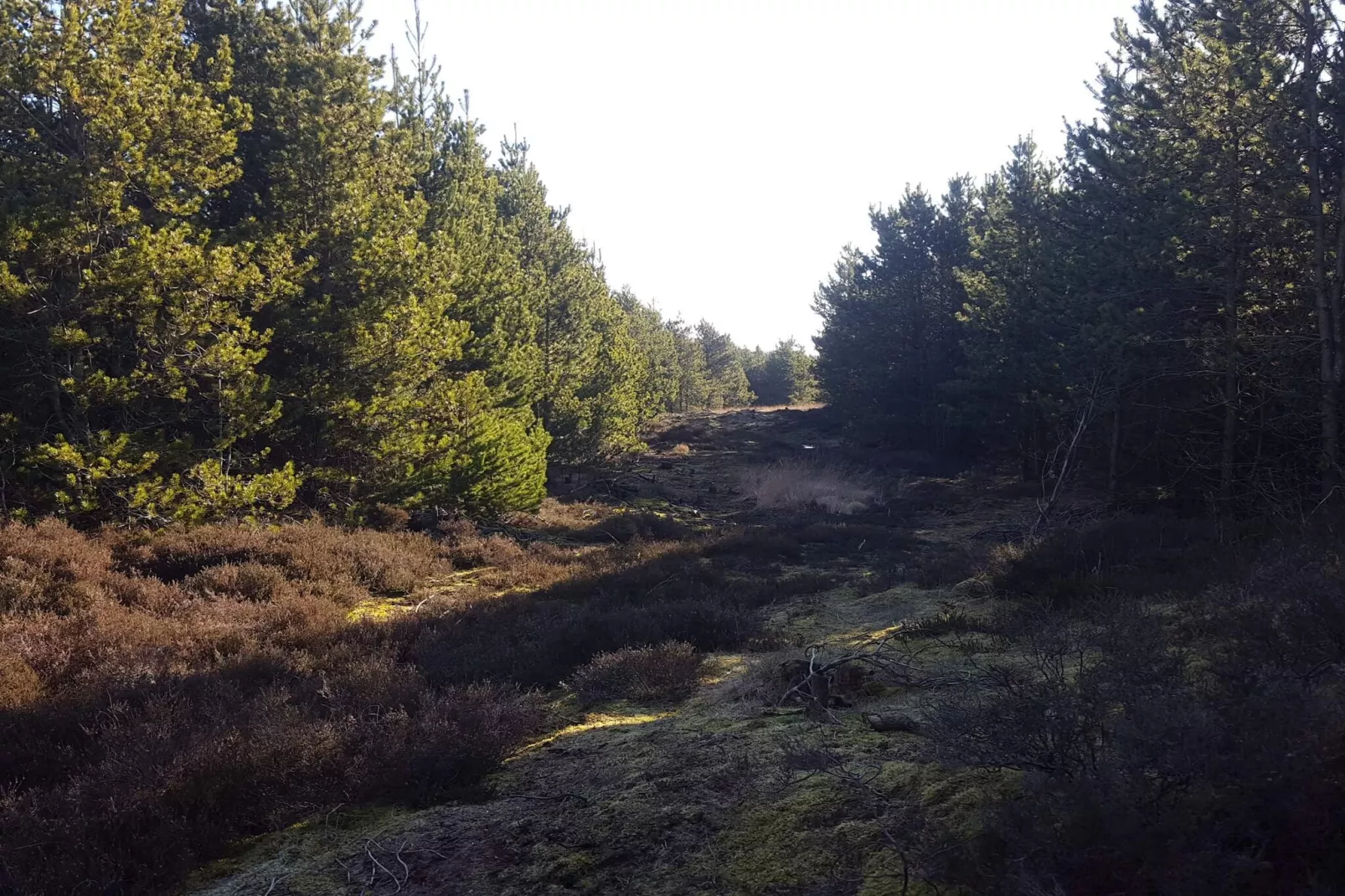 6 persoons vakantie huis in Rømø-By Traum-Niet-getagd