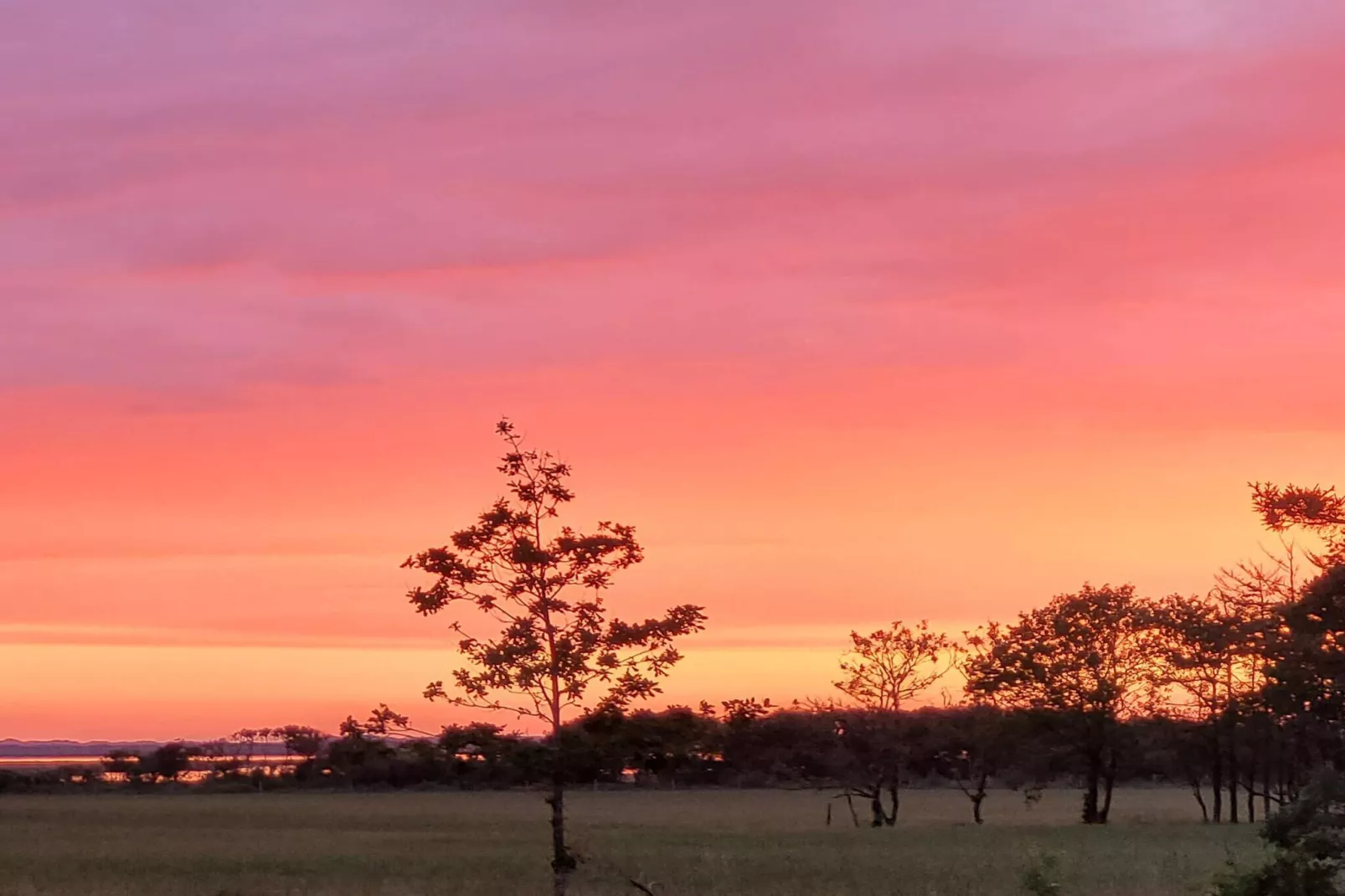 4 persoons vakantie huis in Oksbøl-By Traum-Niet-getagd