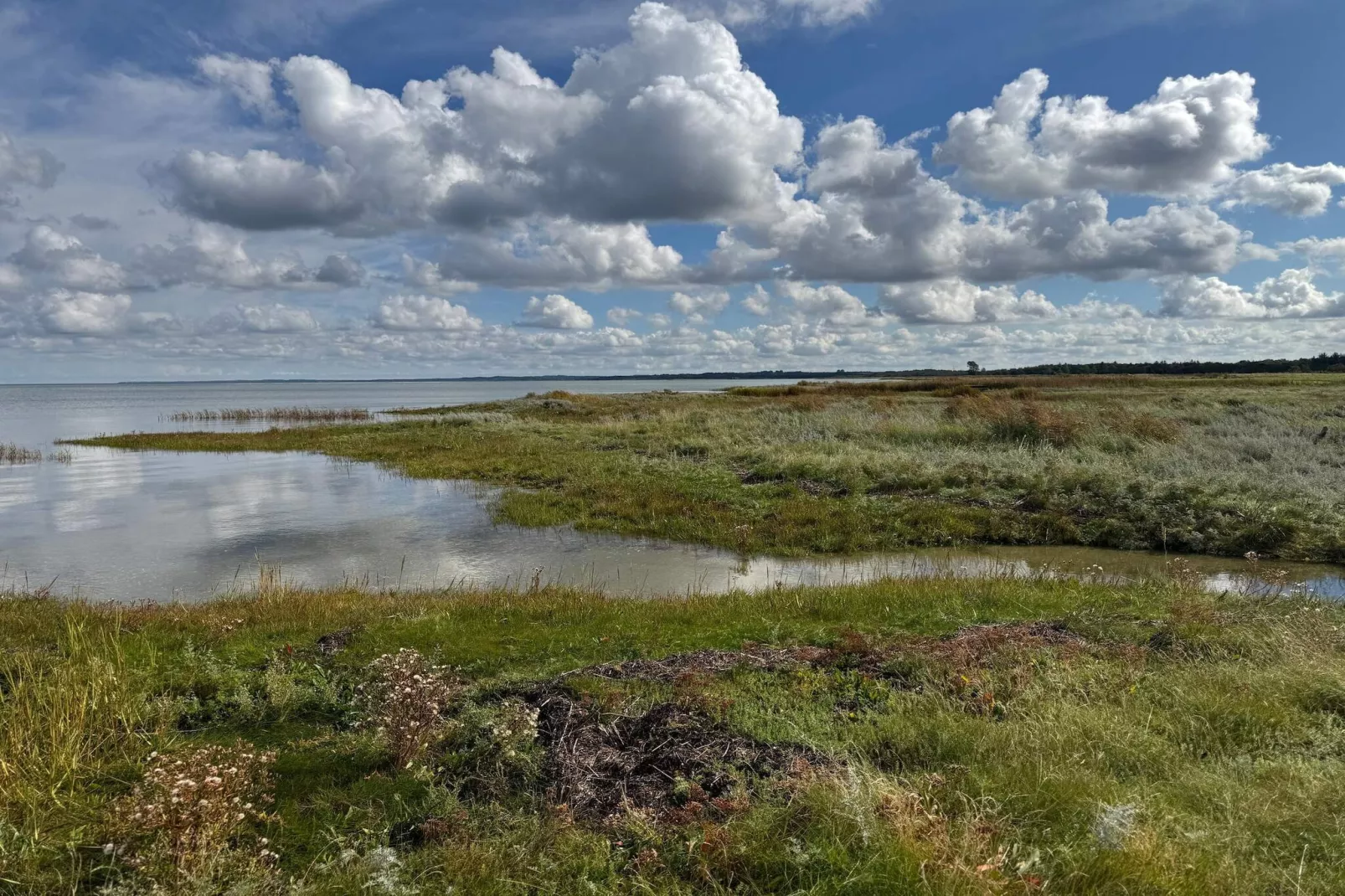 Rustige oase met zwembad -- By Traum Ferienwohnungen-Waterzicht