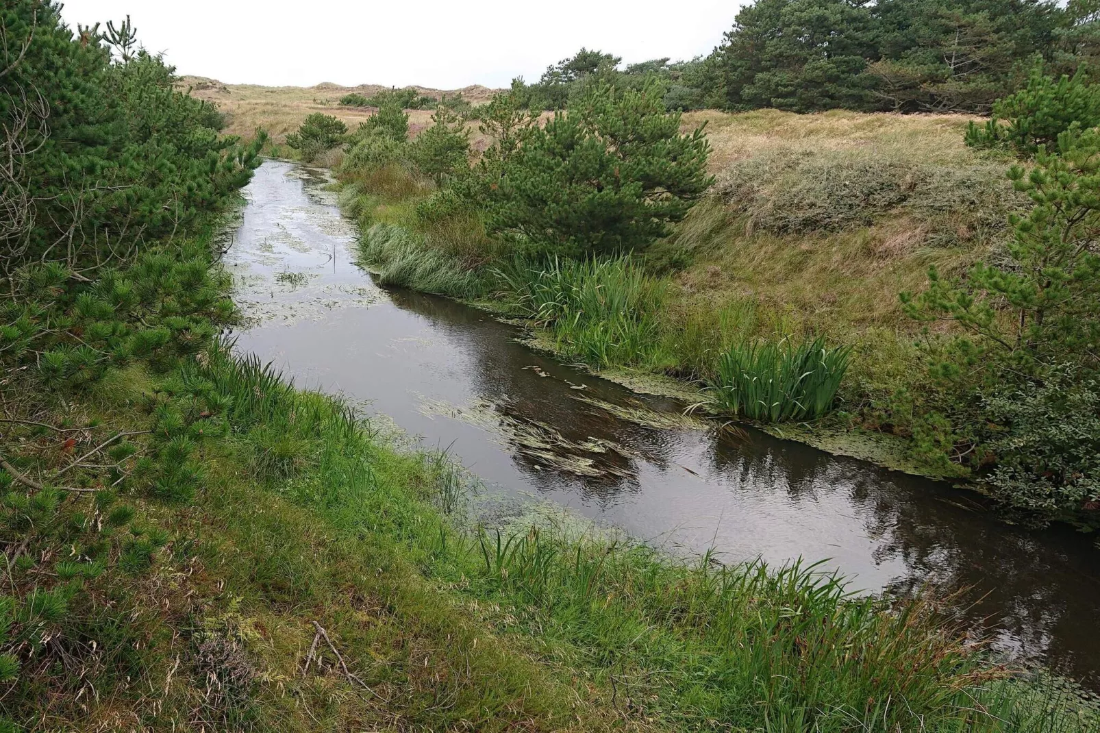 2 persoons vakantie huis in Vejers Strand-By Traum-Waterzicht