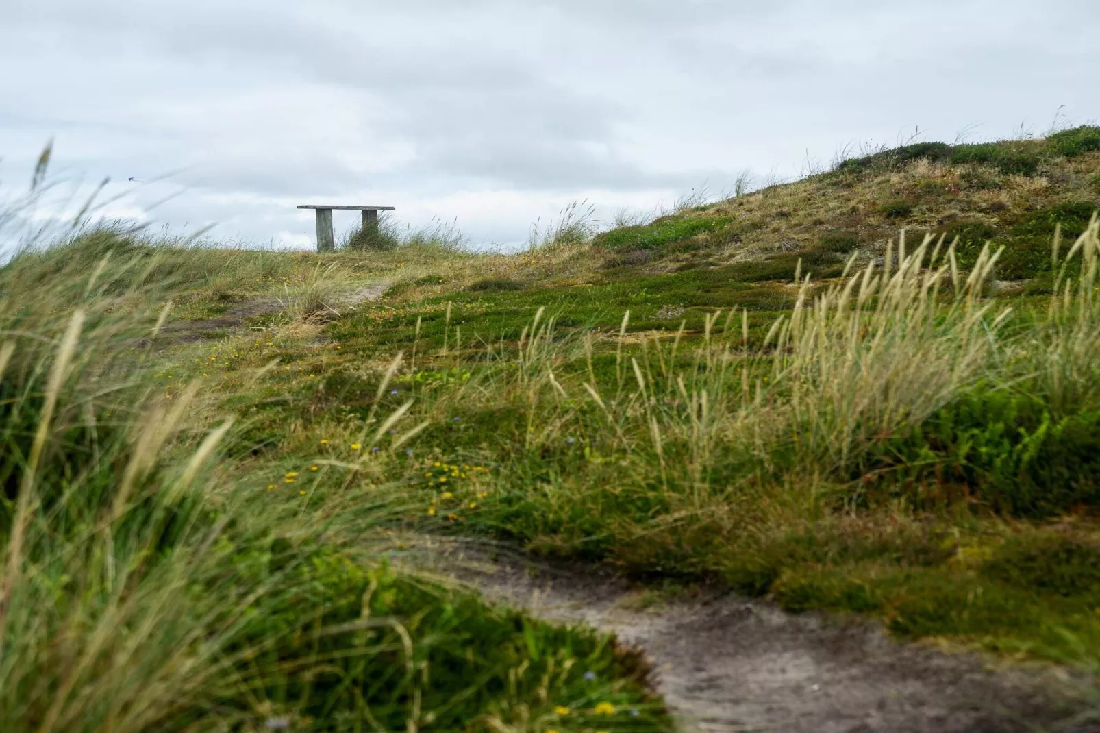 8 persoons vakantie huis in Harboøre-By Traum-Niet-getagd