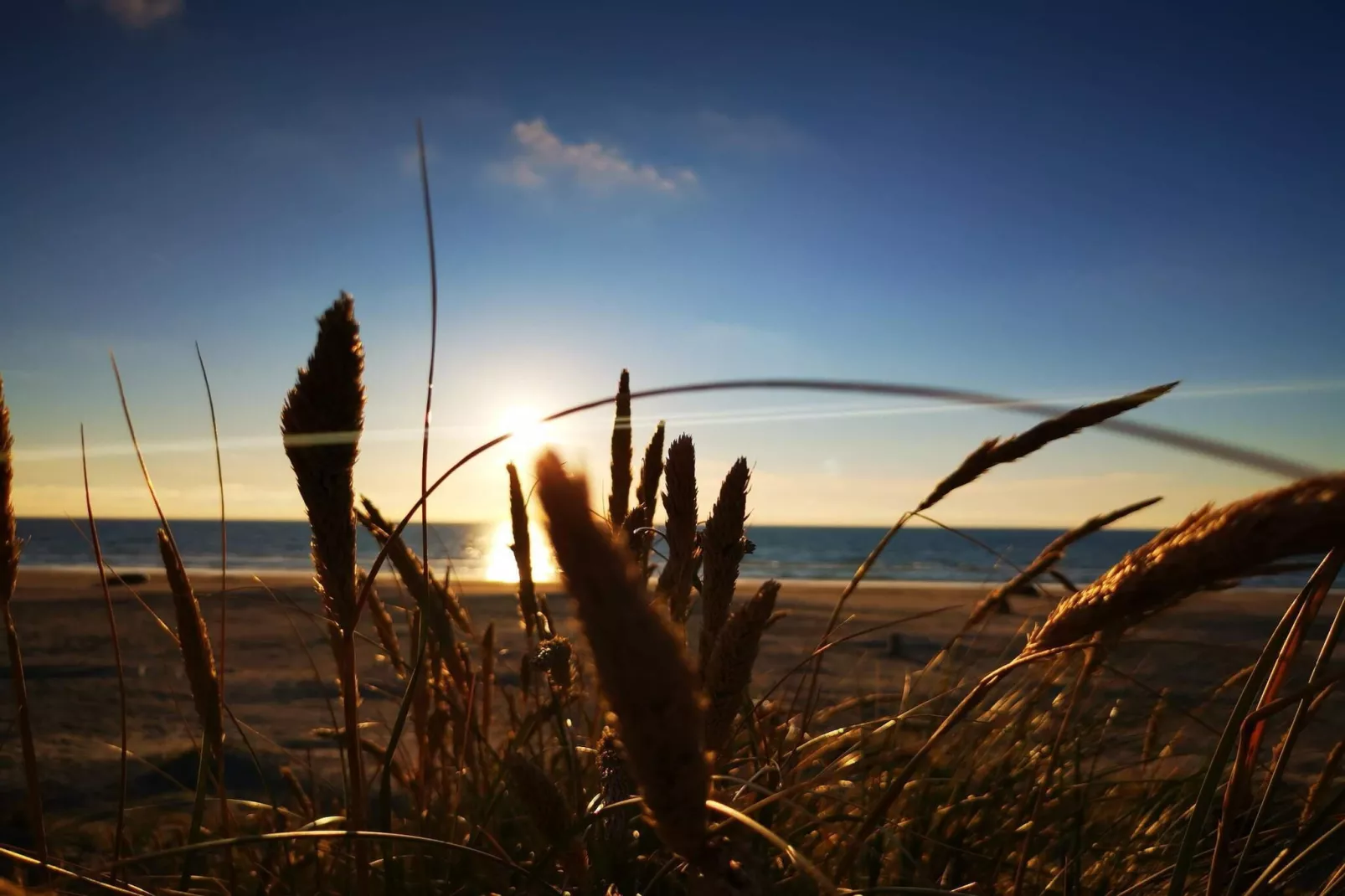 8 persoons vakantie huis in Pandrup-By Traum