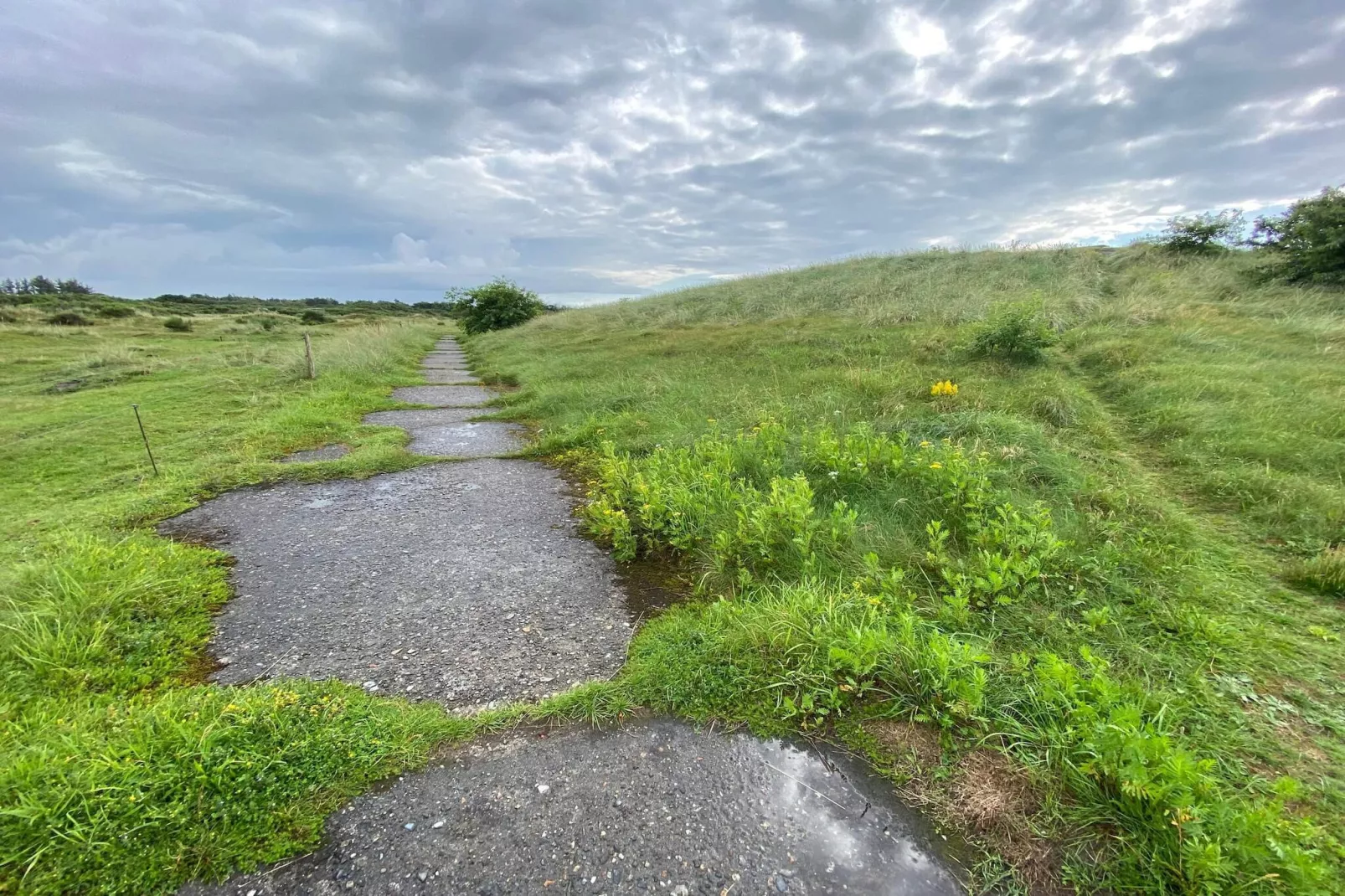 4 persoons vakantie huis in Skjern-By Traum-Niet-getagd