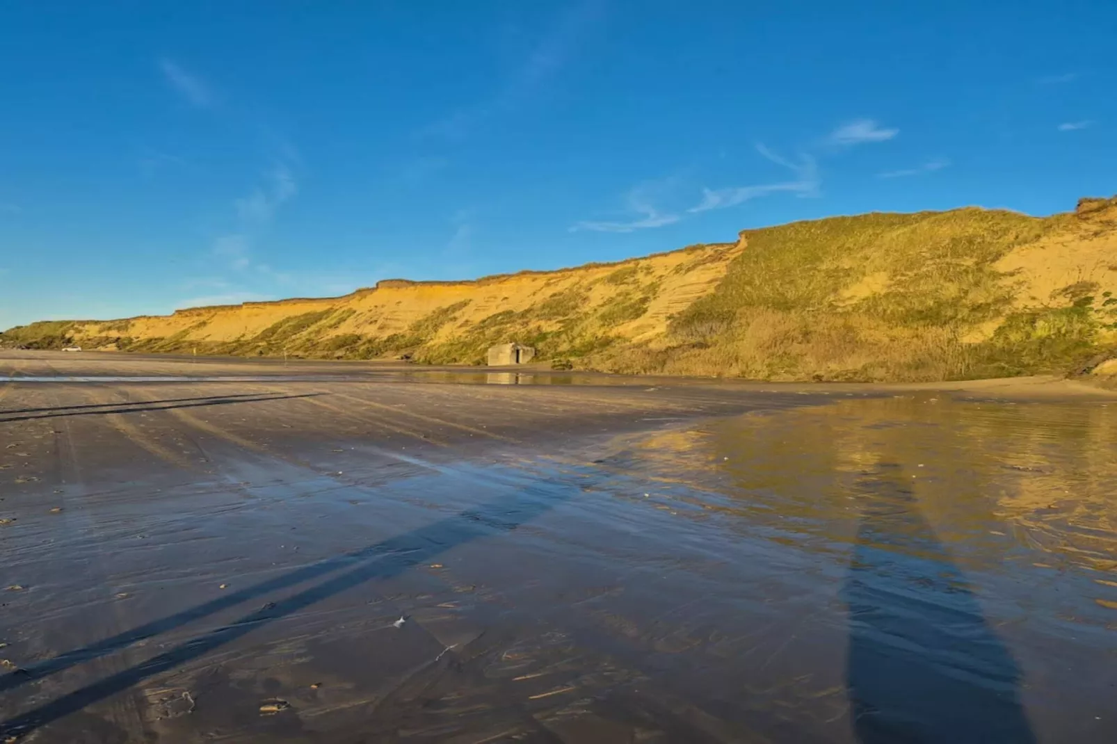 Ruime huisje in dennenbos -- By Traum Ferienwohnungen-Waterzicht