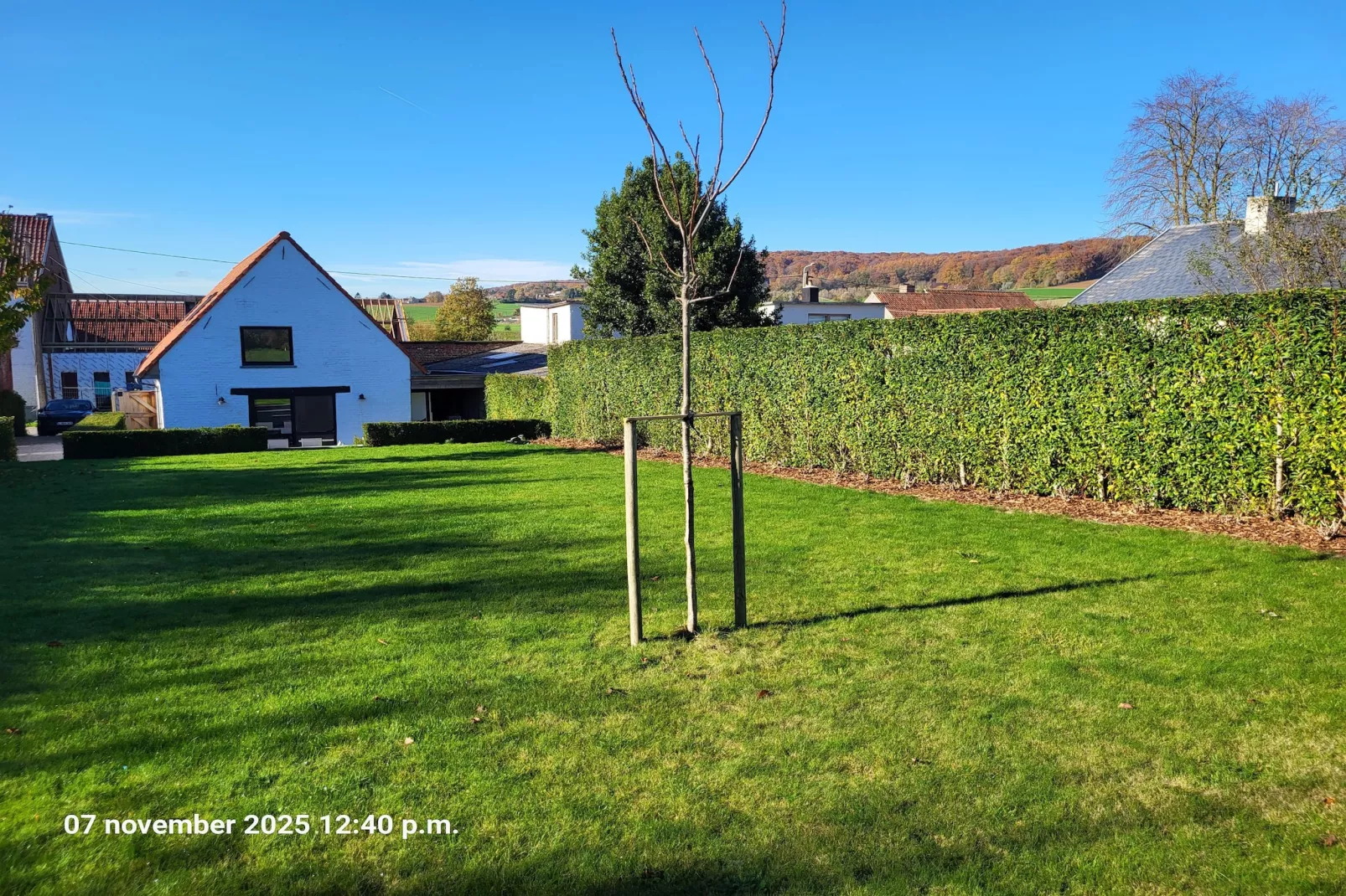 Maison Au Trieu-Tuinen zomer