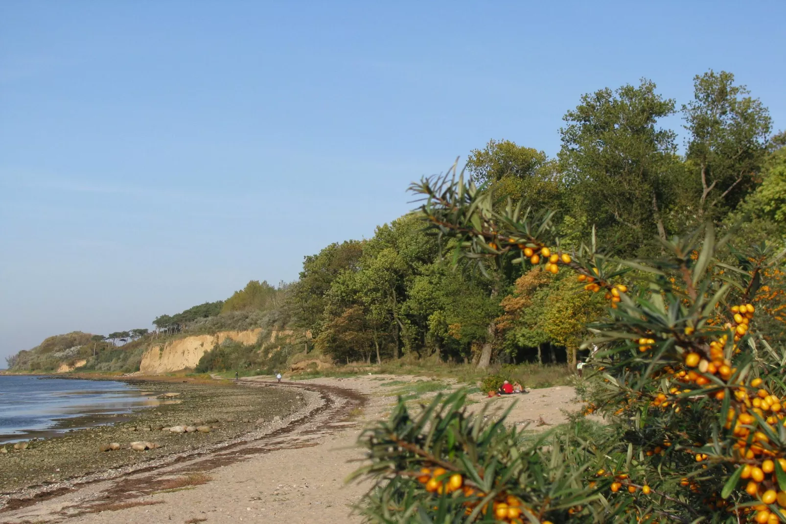 Strandhaus an der Wiek in Strandlage-Gebieden zomer 1km