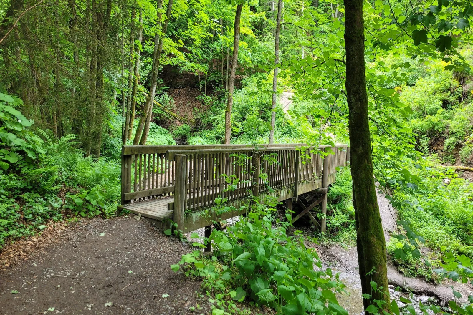 Am Waltenberg 59-W-Gebieden zomer 5km