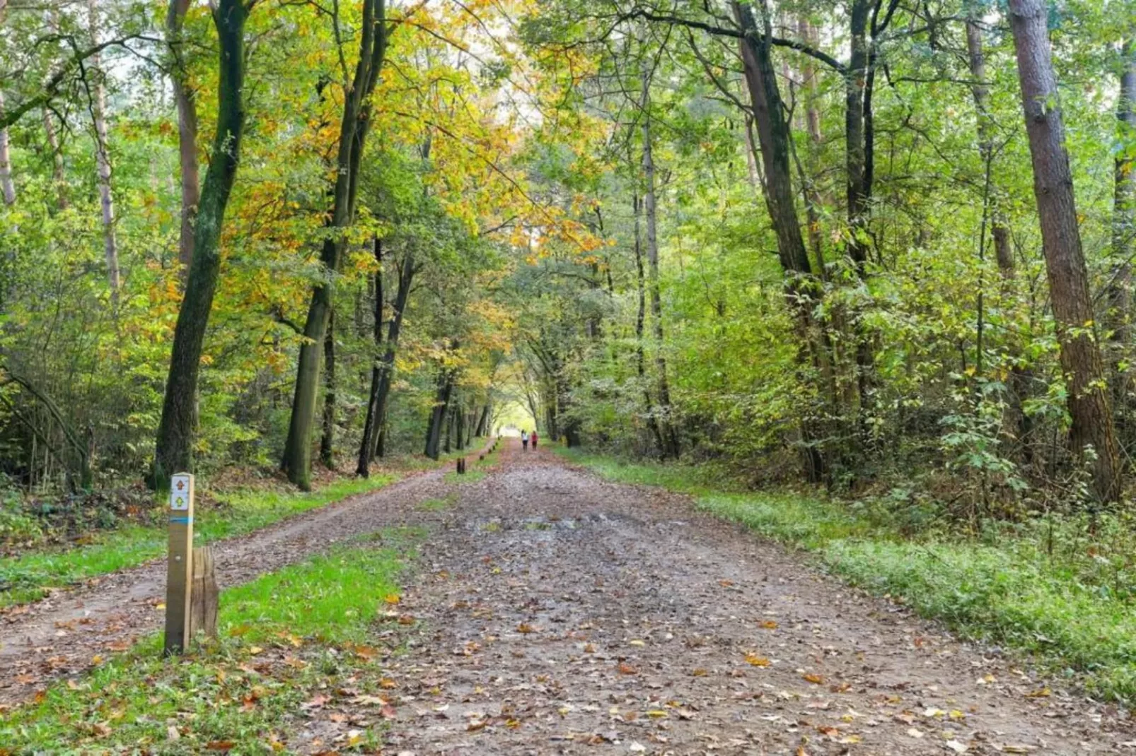 Bospark Markelo 5-Gebieden zomer 20km