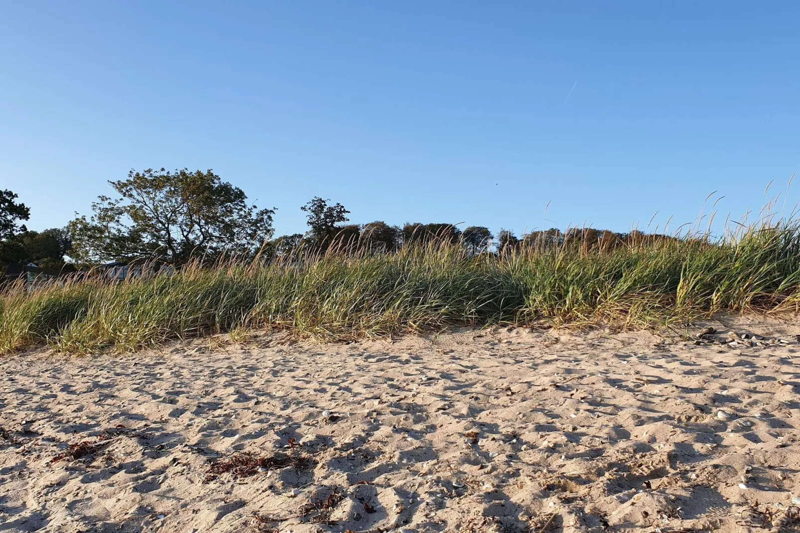 8 persoons vakantie huis in Aabenraa-By Traum-Waterzicht