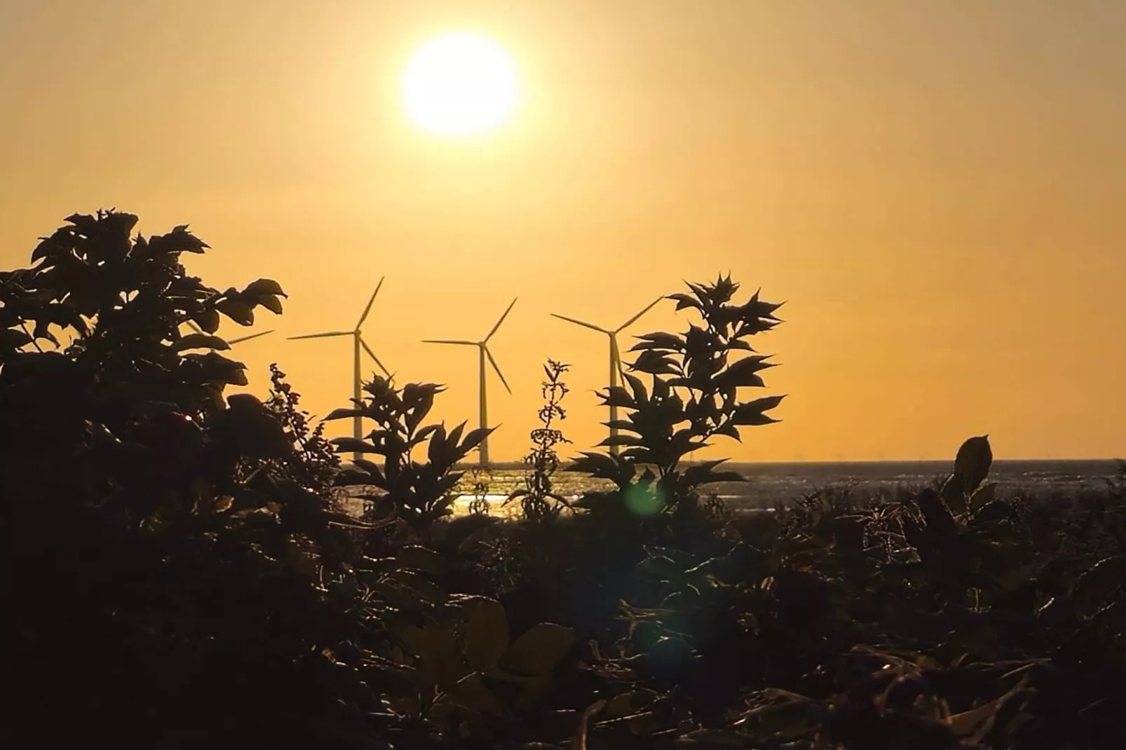 Zonnig toevluchtsoord in Bonnerup Haven-By Traum-Waterzicht