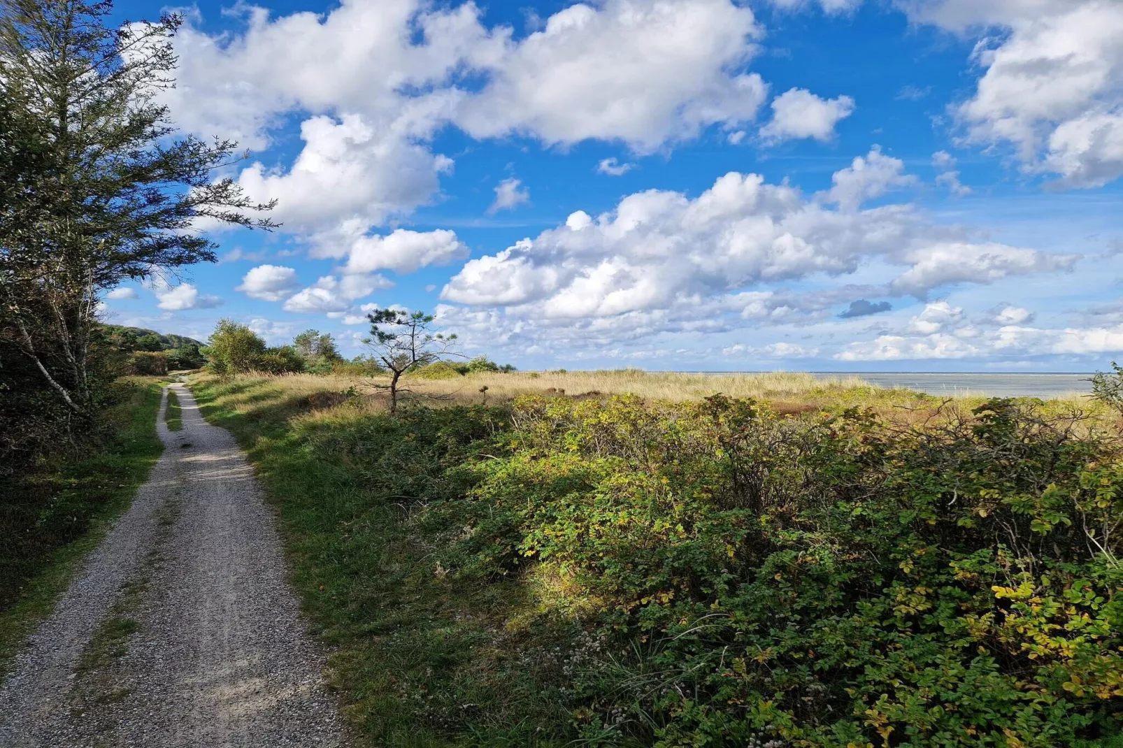6 persoons vakantie huis in Grenaa-By Traum-Waterzicht
