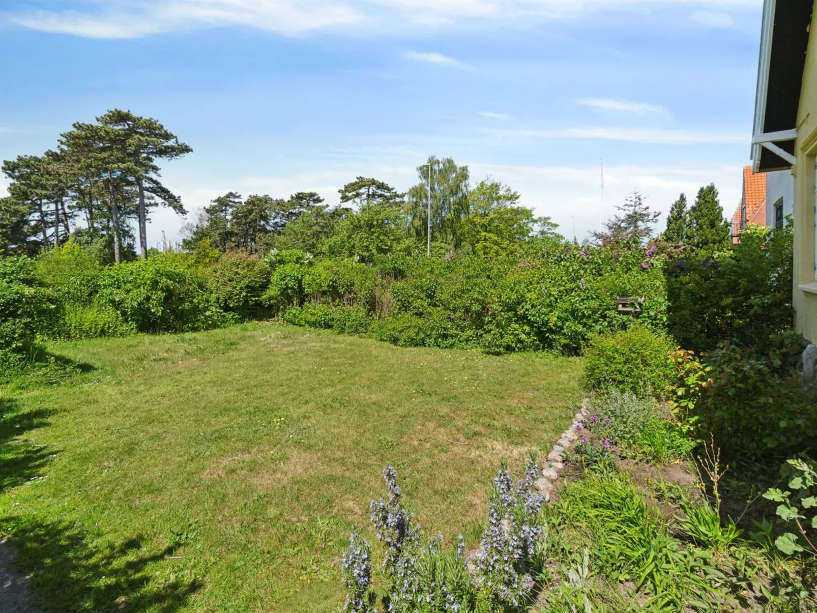 "Detlef" - 200m from the sea-Buiten