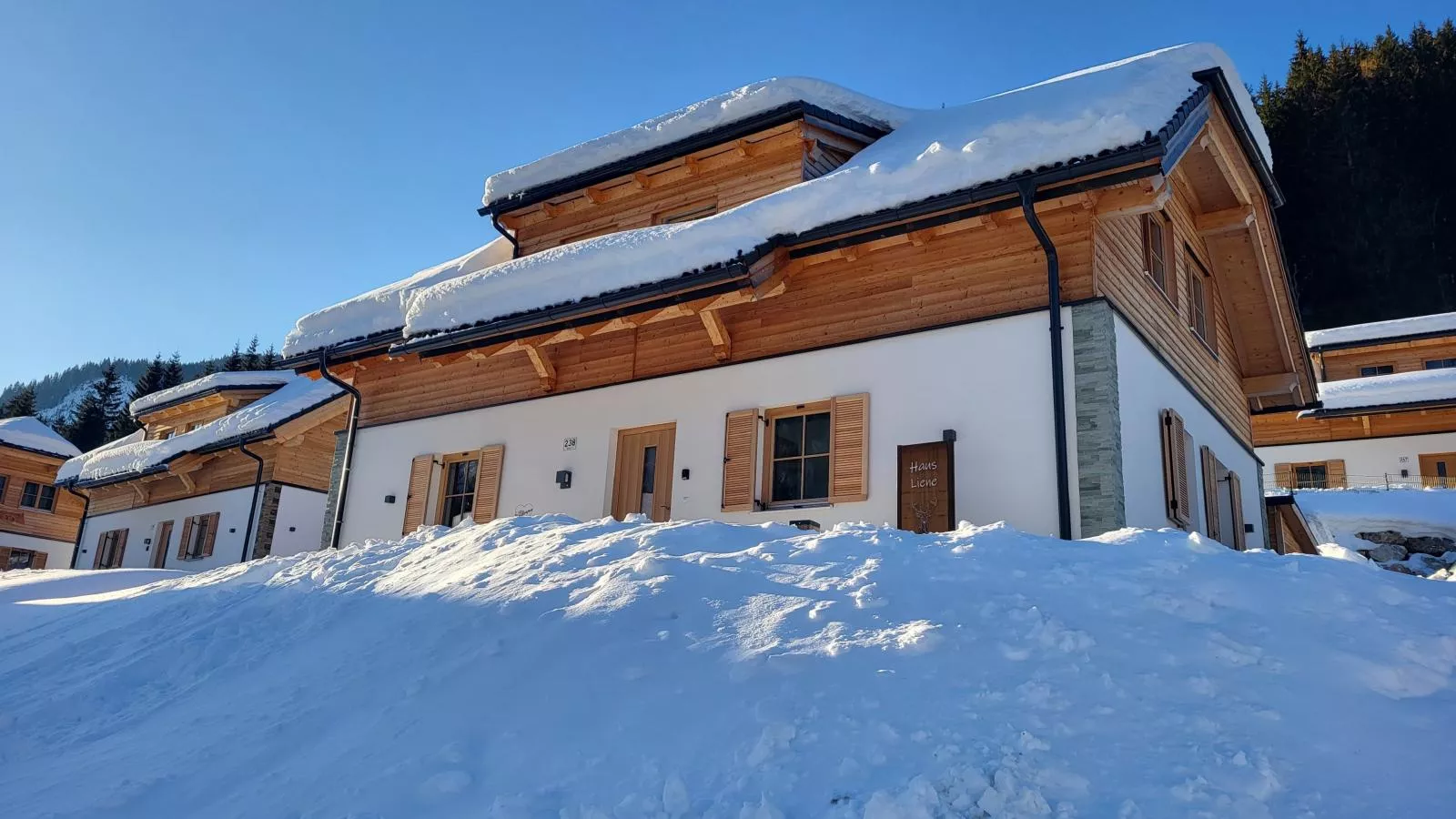 Haus Liene-Exterieur winter