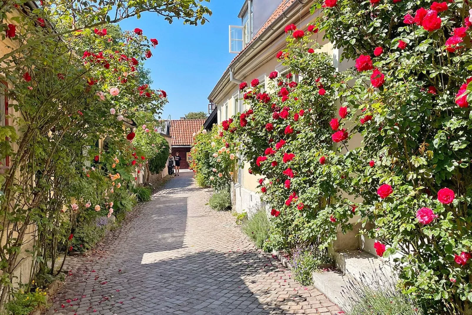 4 persoons vakantie huis in KLINTEHAMN-By Traum-Niet-getagd