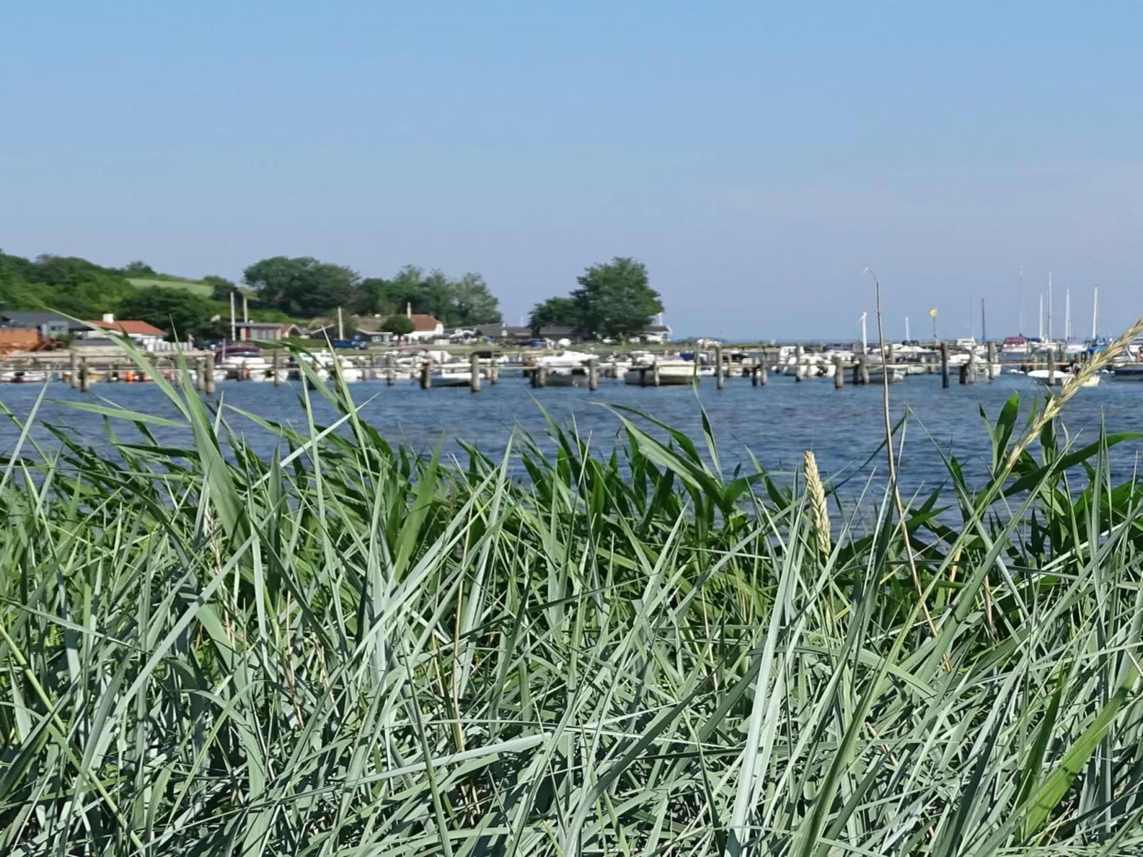 "Veselin" - 100m from the sea-Buiten