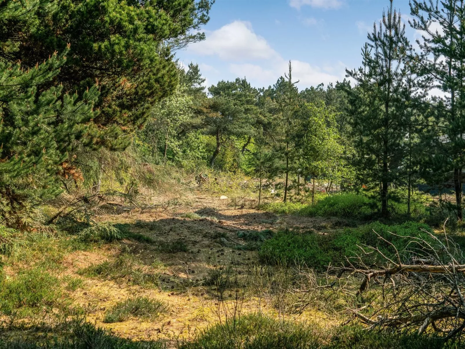 "Herborg" - 1km from the sea-Buiten