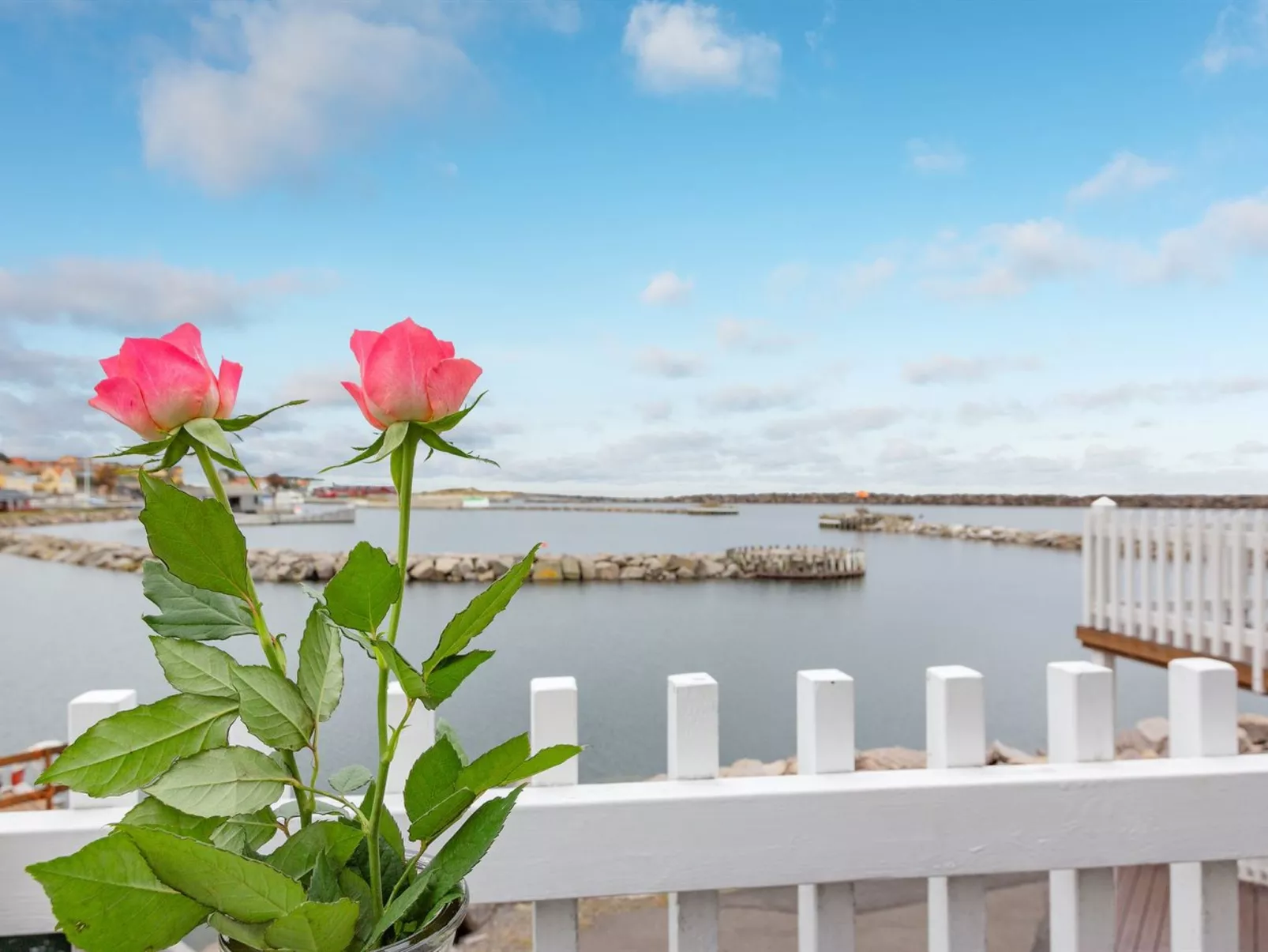 "Fridhild" - 10m from the sea-Buiten