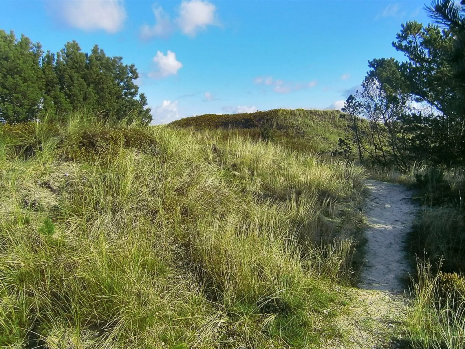 "Lewe" - 150m from the sea-Buiten