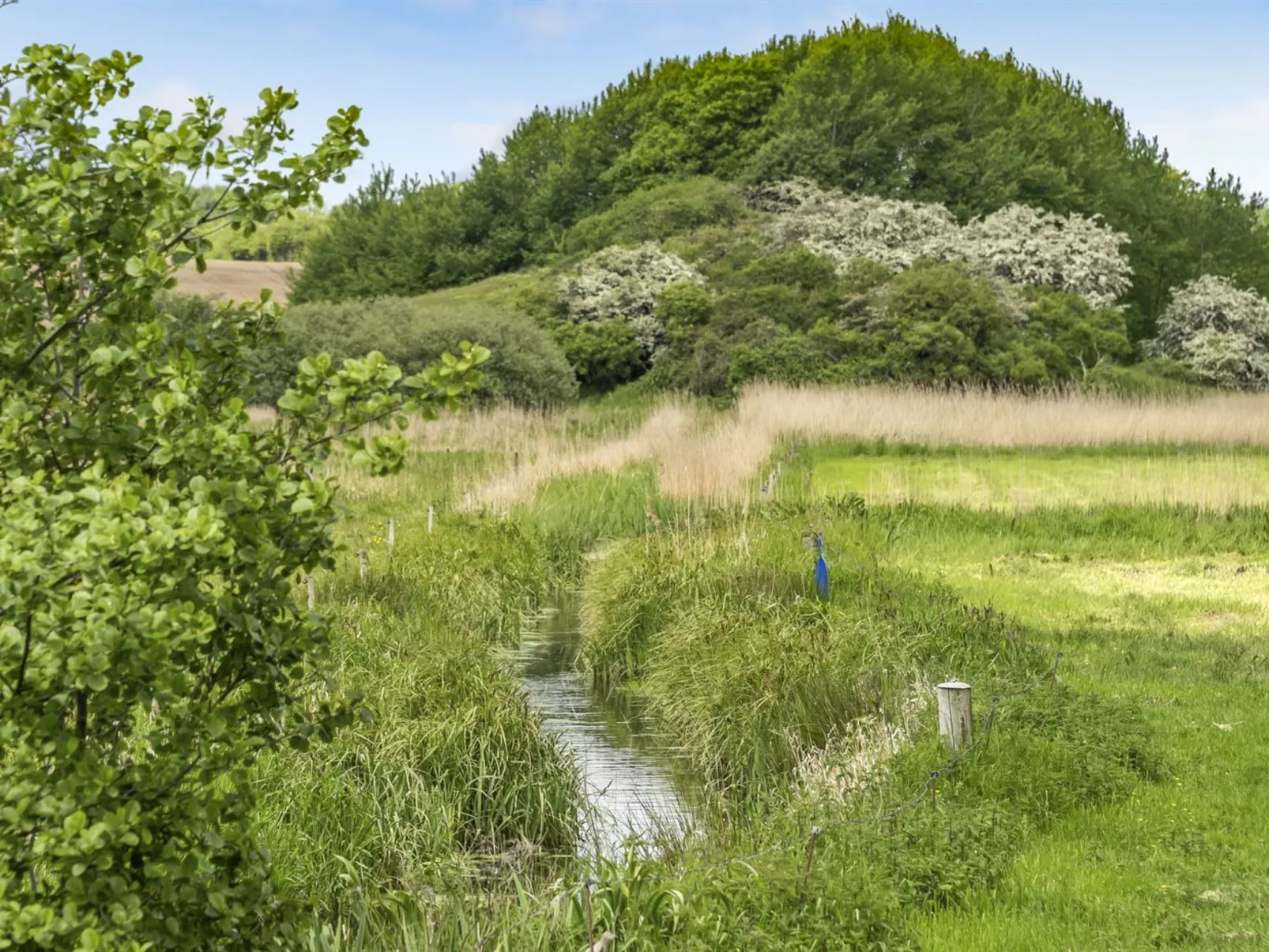 "Sigbritt" - 100m from the sea-Buiten