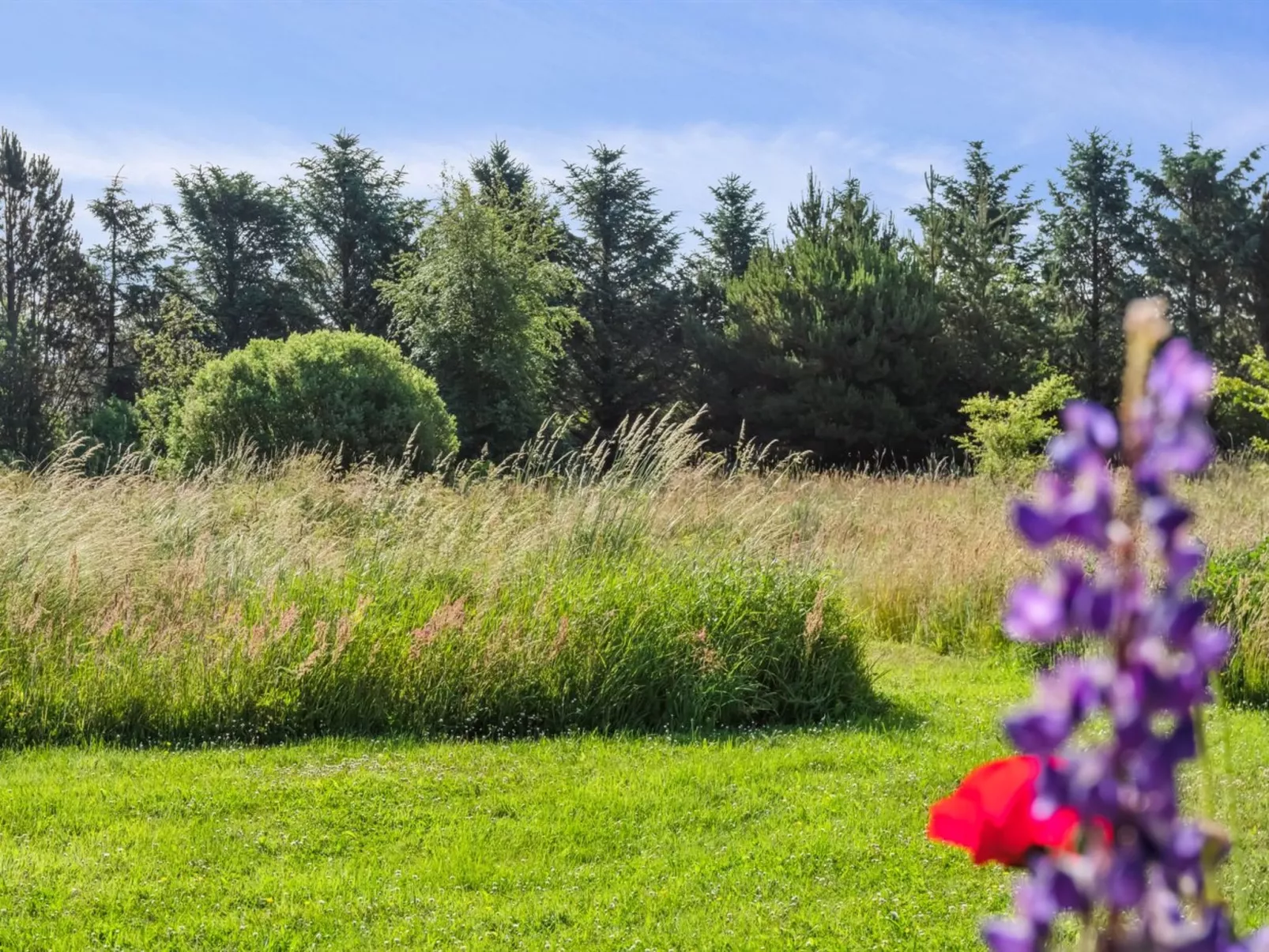 "Elsia" - 1.5km to the fjord-Buiten