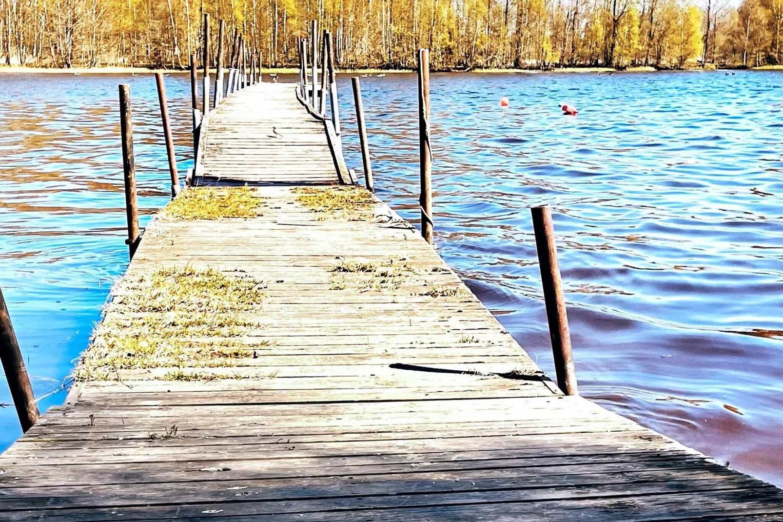 4 persoons vakantie huis in ALVESTA-By Traum-Waterzicht