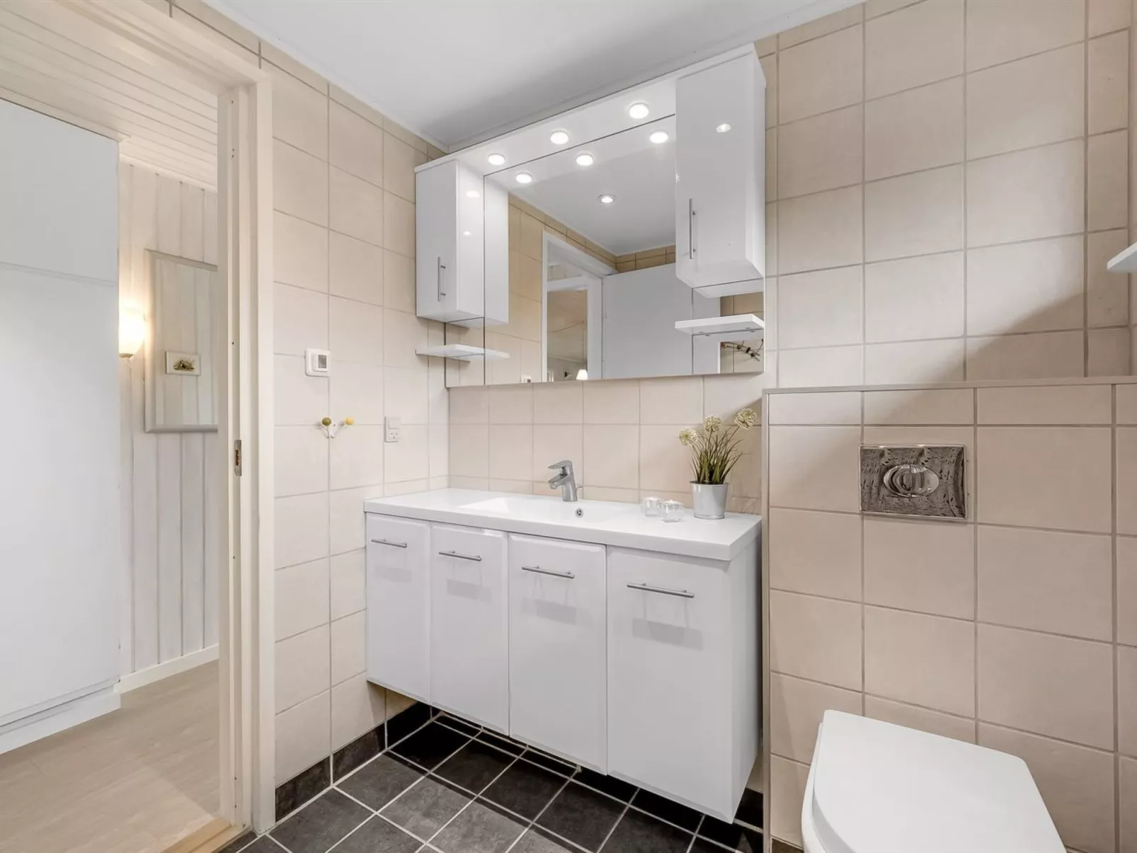 "Theodor" - 180m to the fjord-Binnen