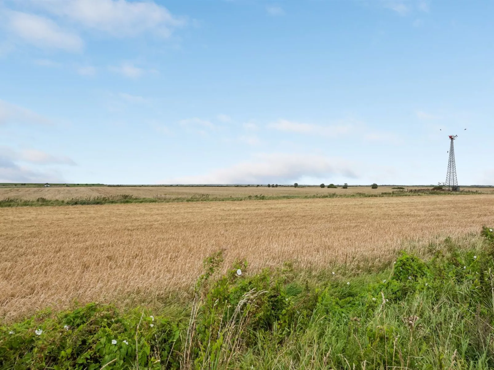 "Clausina" - 600m from the sea-Buiten