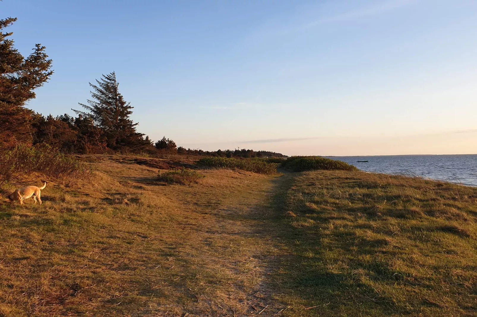 6 persoons vakantie huis in Hemmet-By Traum