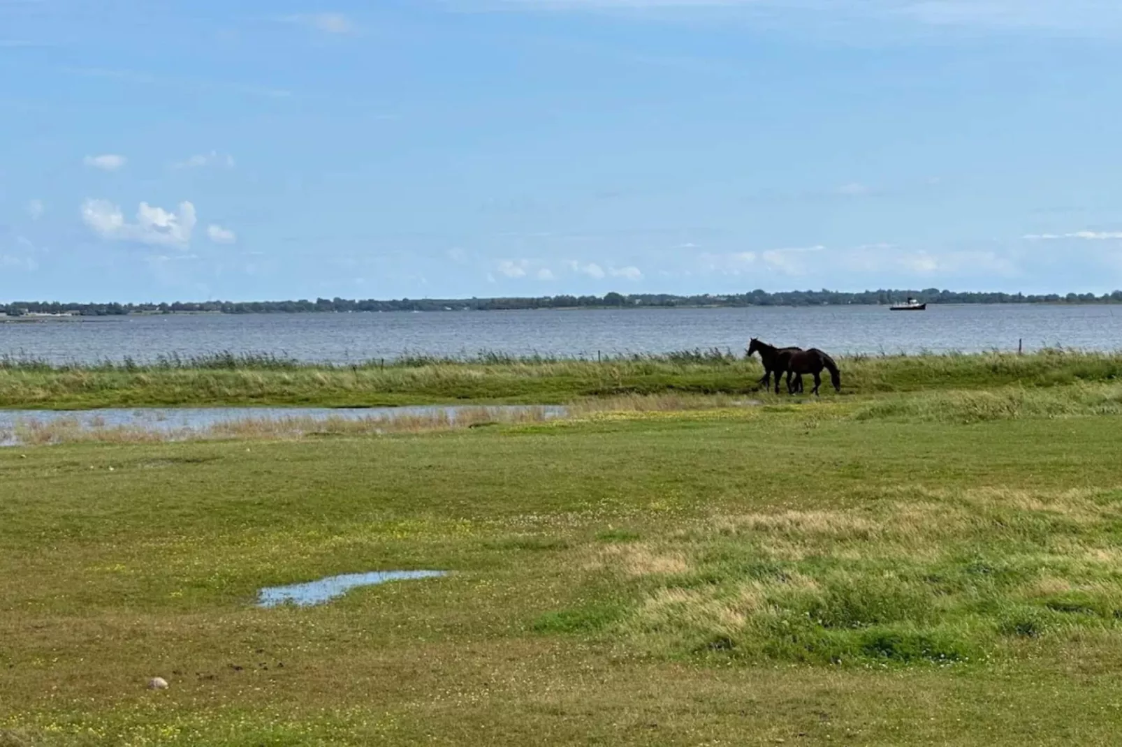 6-persoonshuis in Ærøskøbing-By-Waterzicht