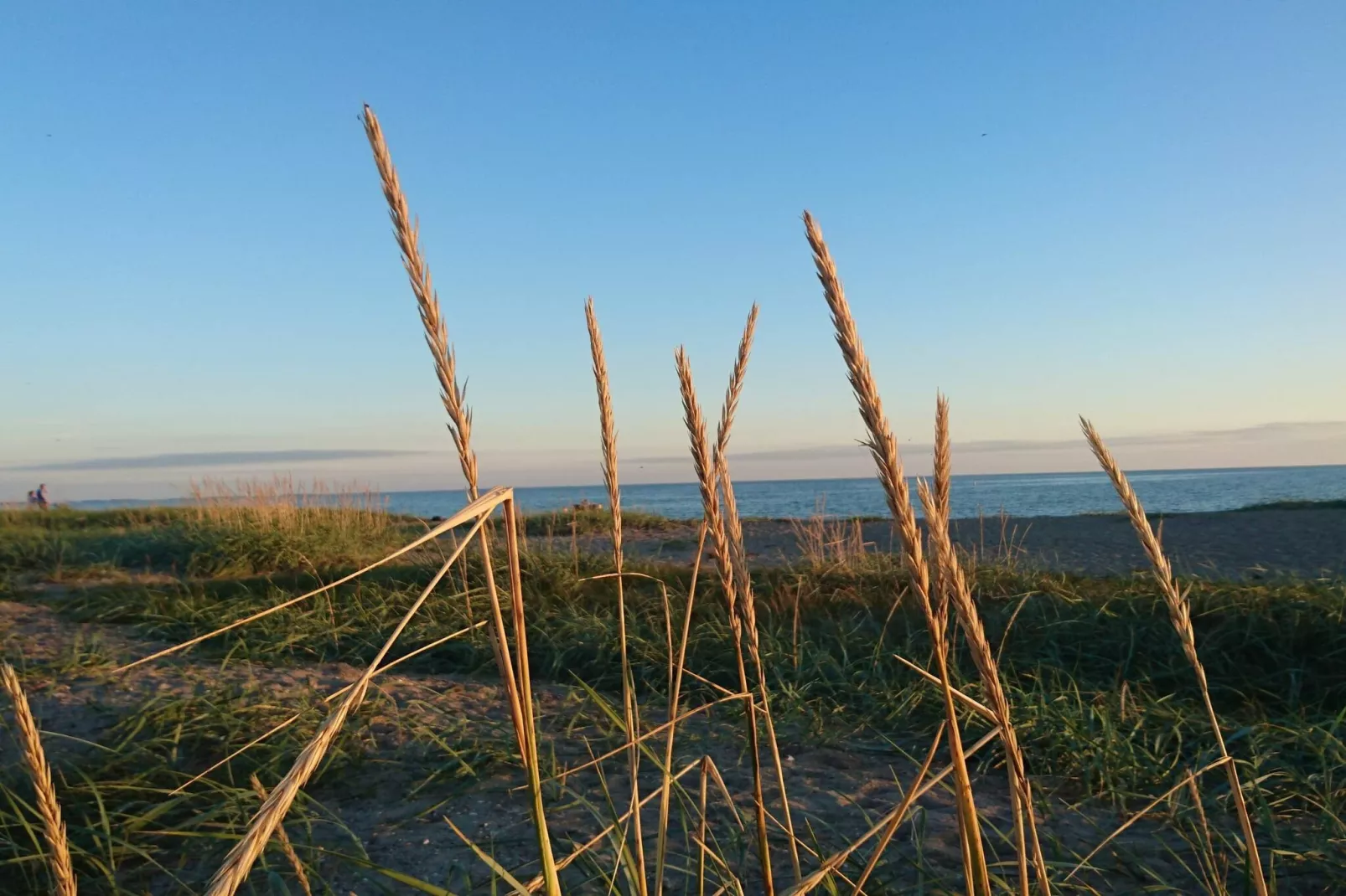 Gezellig toevluchtsoord aan zee in Eno-By Traum-Niet-getagd