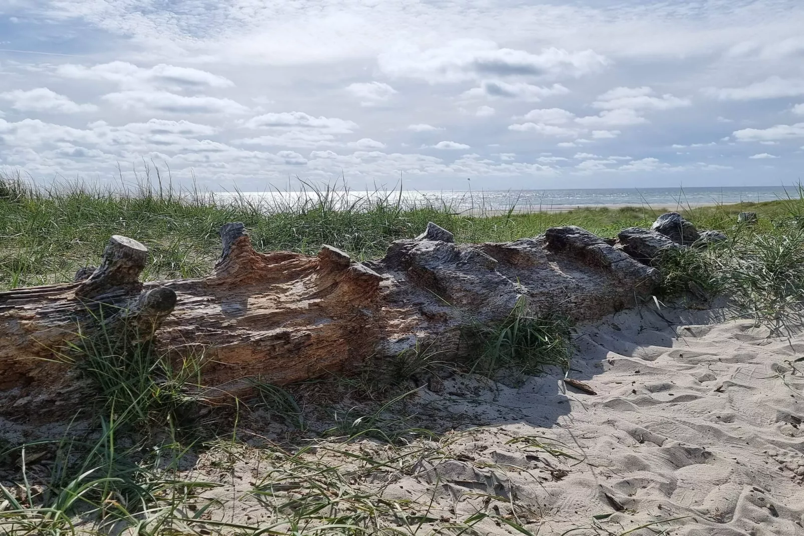 8 persoons vakantie huis in Blåvand-By Traum-Waterzicht