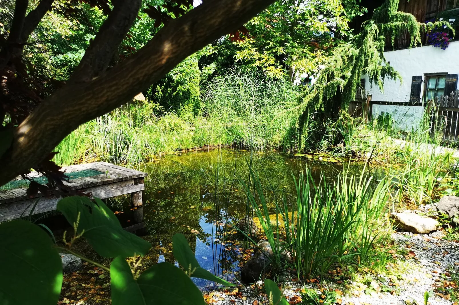 Ferienwohnung am Bio-Bauernhof-Tuinen zomer