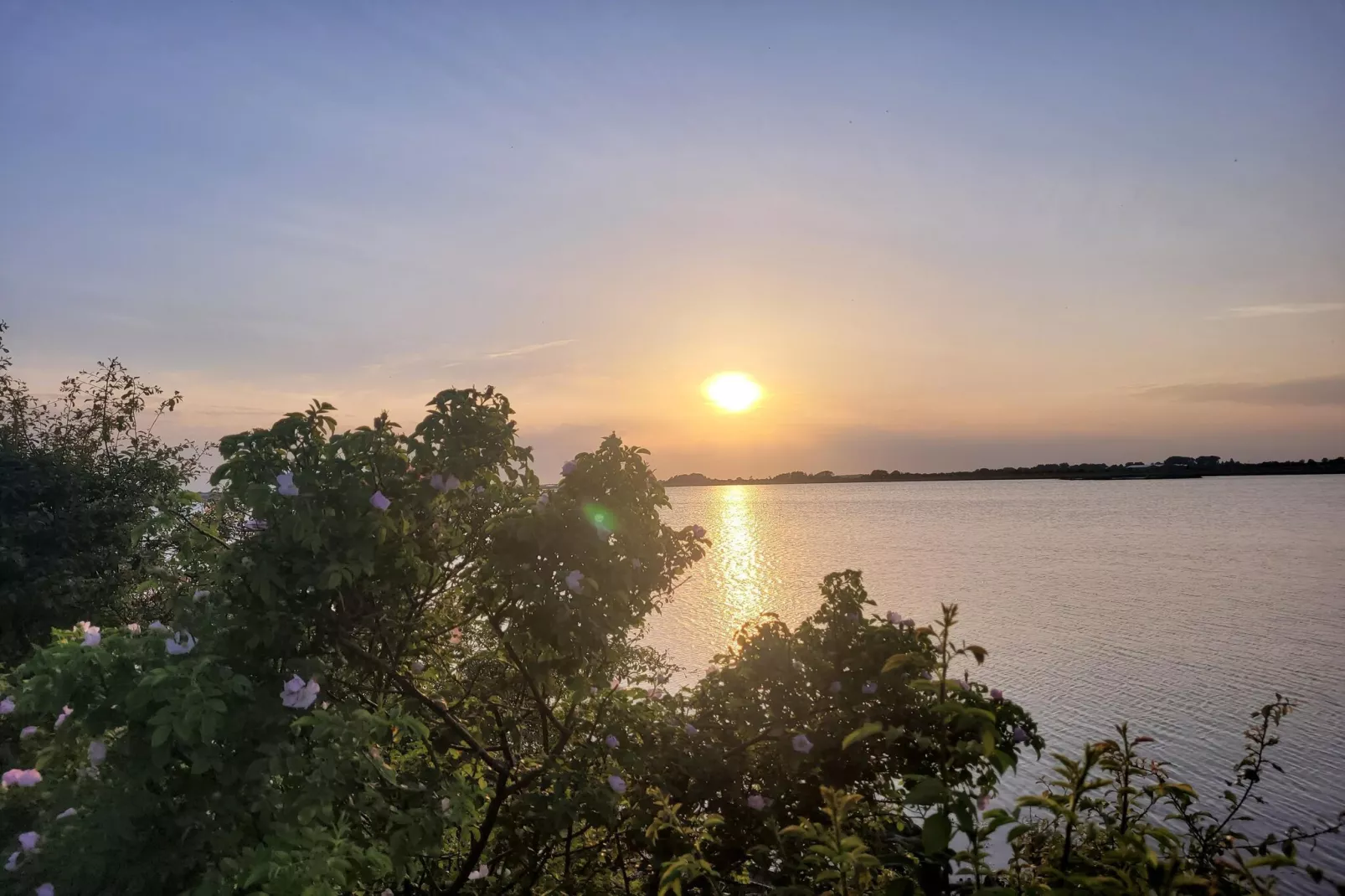 Haus am Meer-Gebieden zomer 1km