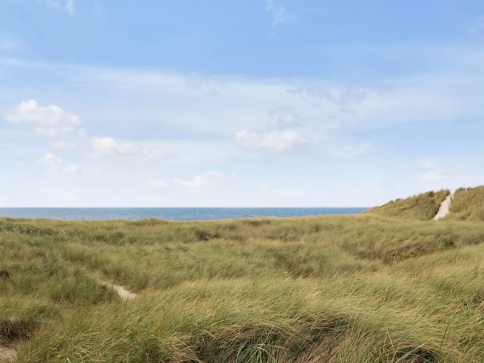 "Florense" - 2.5km from the sea-Buiten