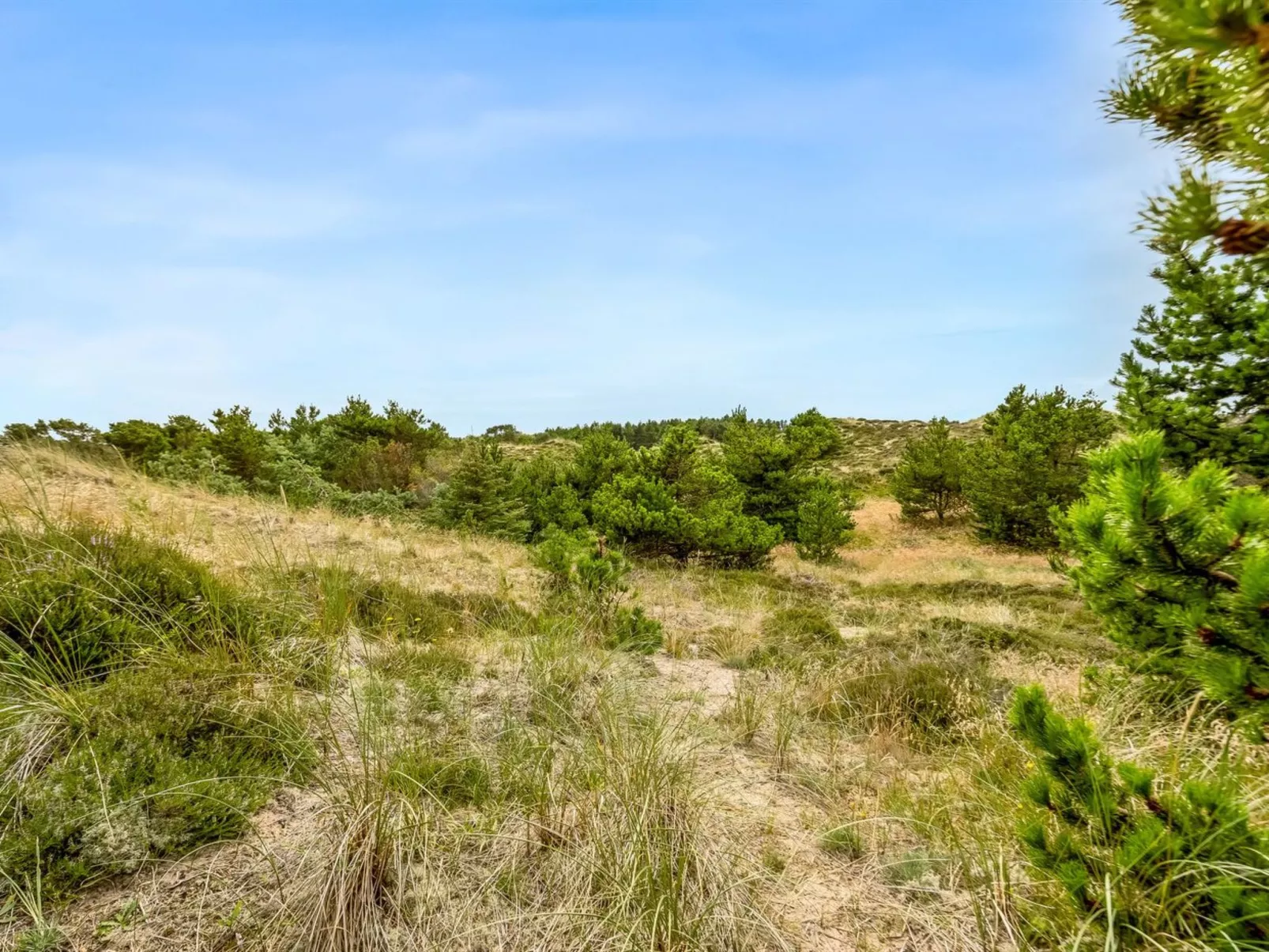 "Vemund" - 300m from the sea-Buiten