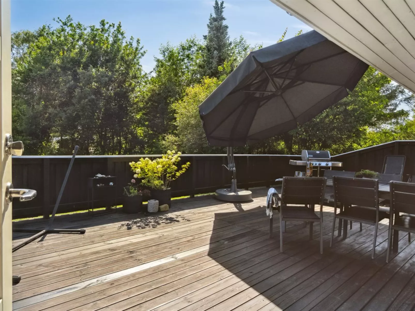 "Felippa" -  from the sea-Buiten