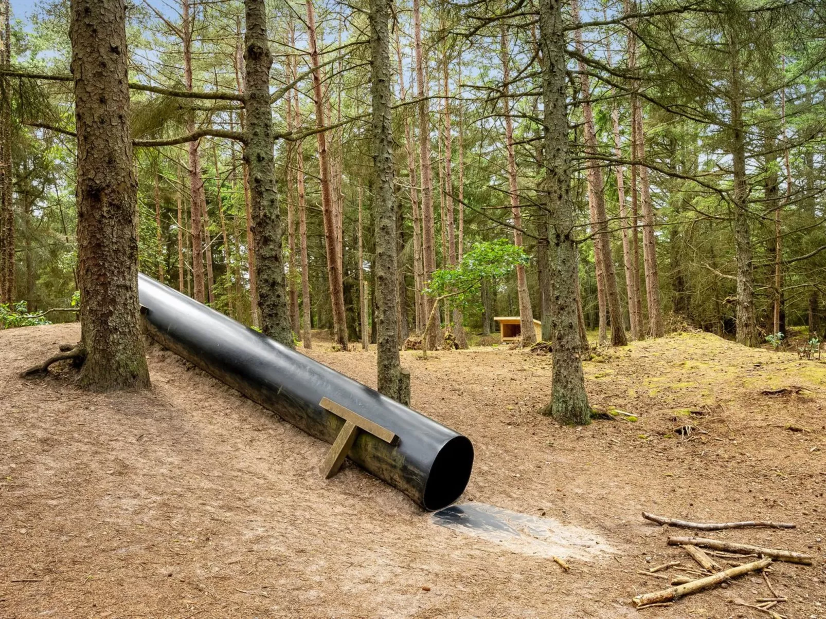 "Sylwia" -  from the sea-Buiten