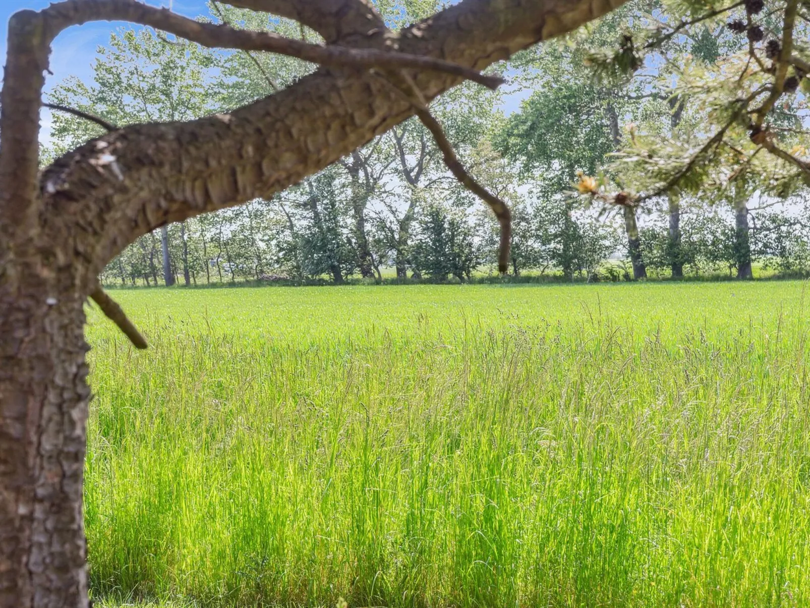 "Konrad" - 700m from the sea-Buiten