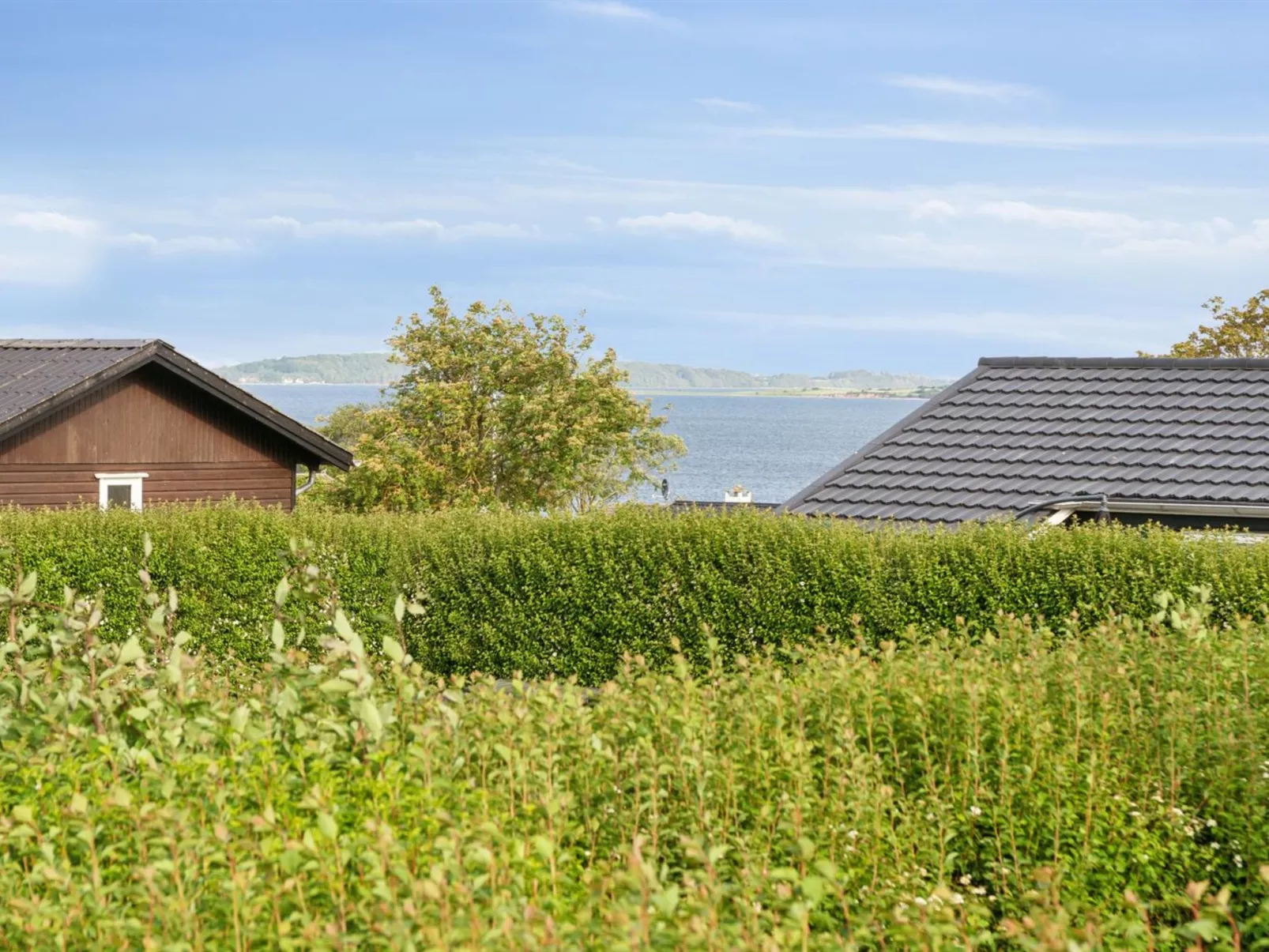 "Gudrun" - 250m from the sea-Buiten