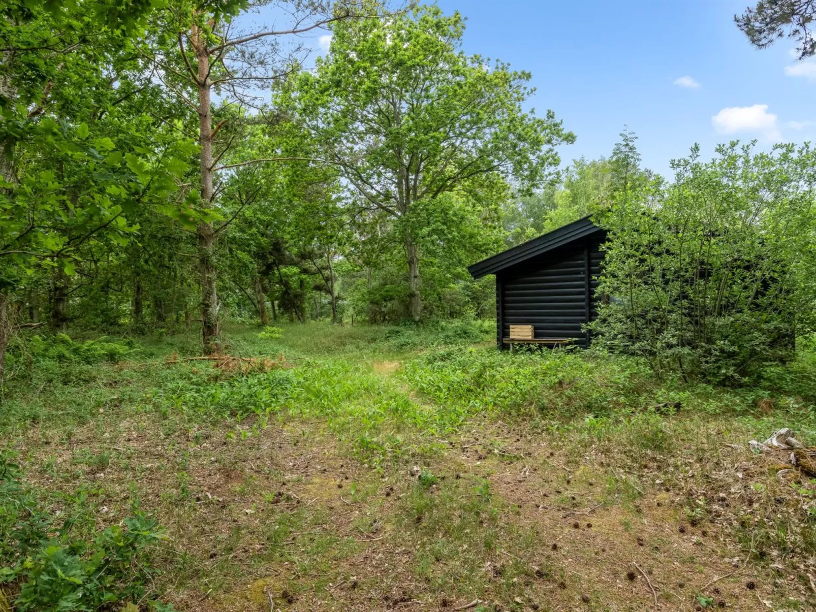 "Juho" - 700m from the sea-Buiten