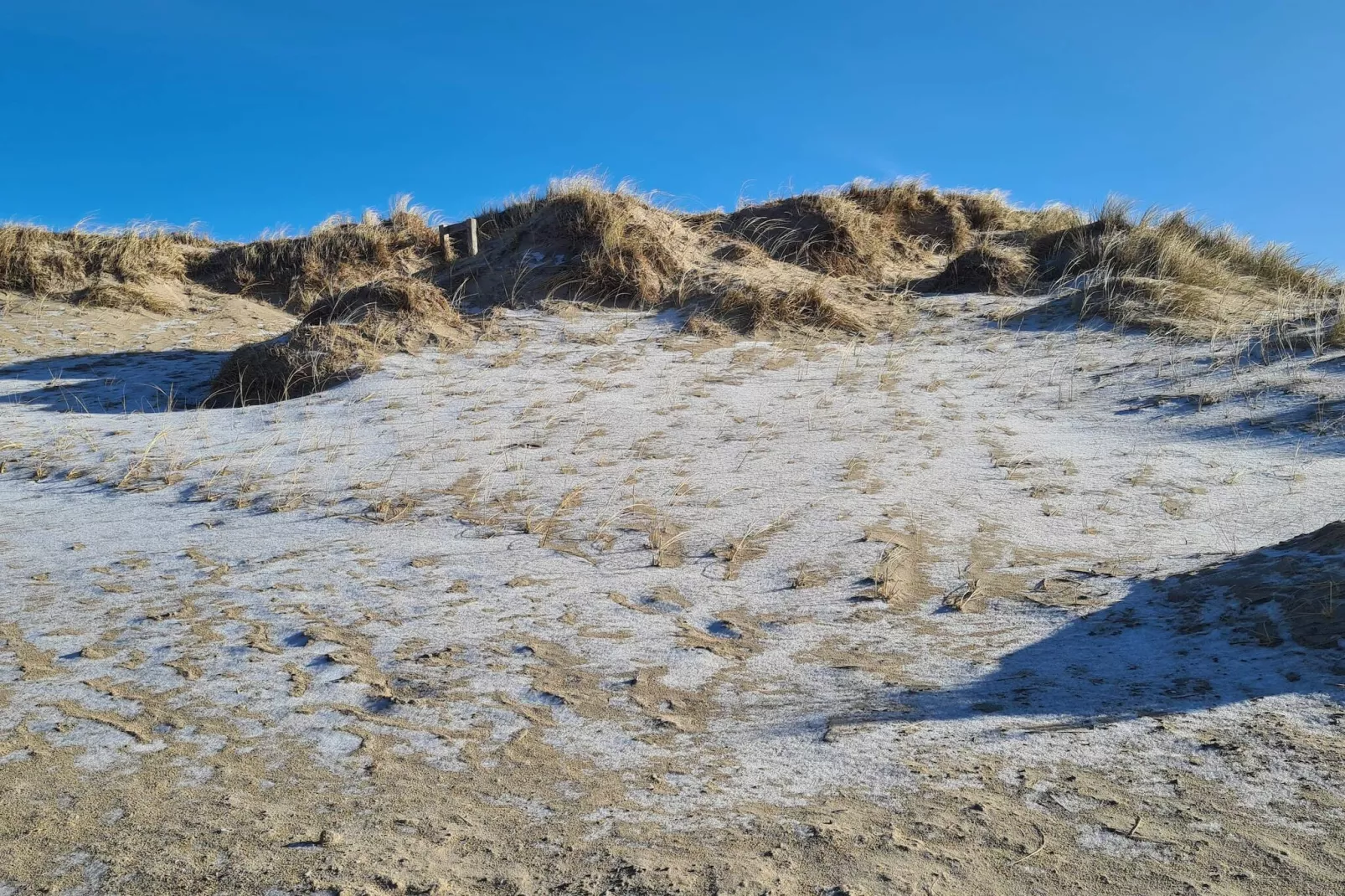 Luxe oase in Blavand-By Traum-Niet-getagd