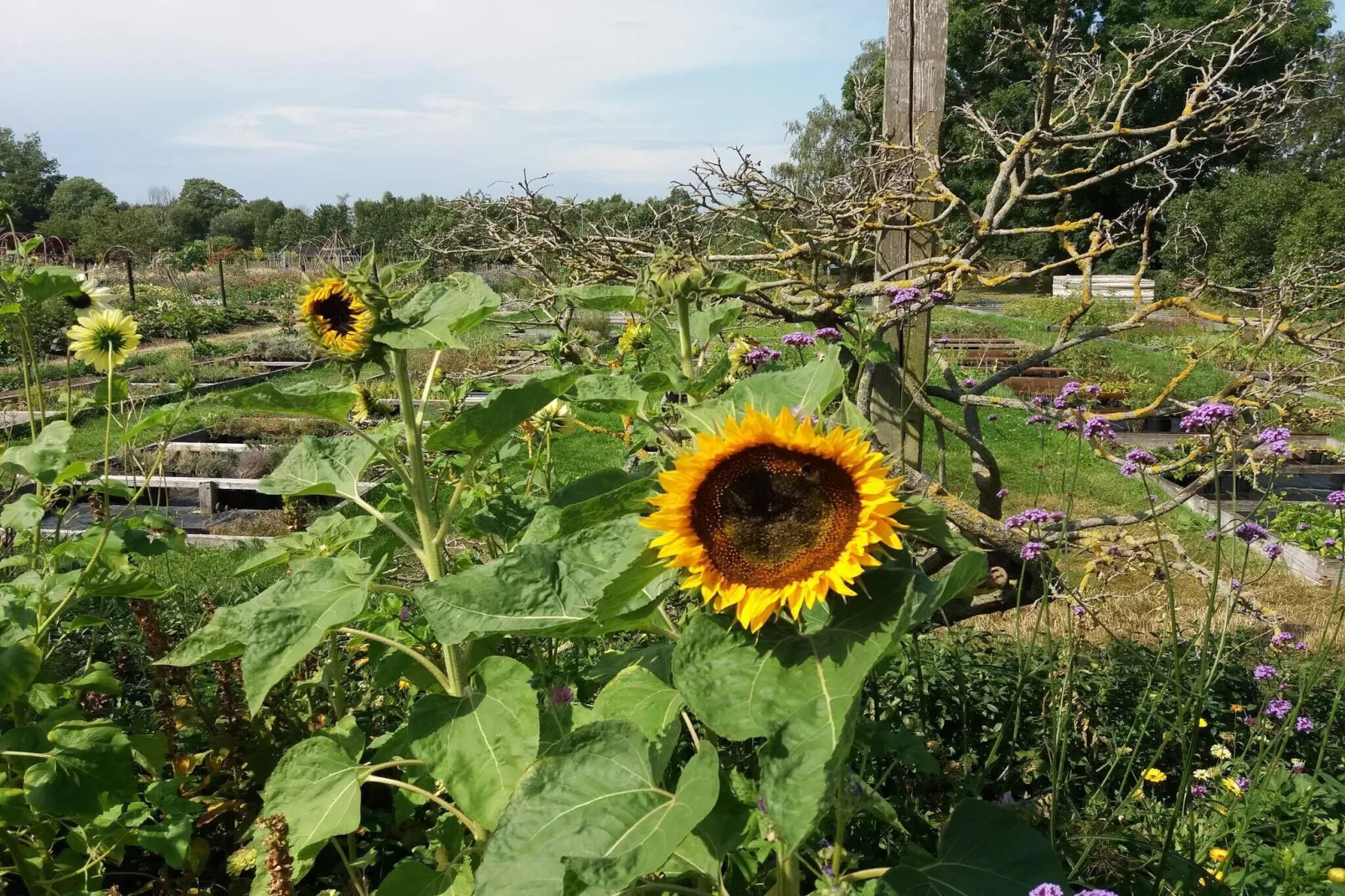 10 persoons vakantie huis in FÄRJESTADEN-Niet-getagd