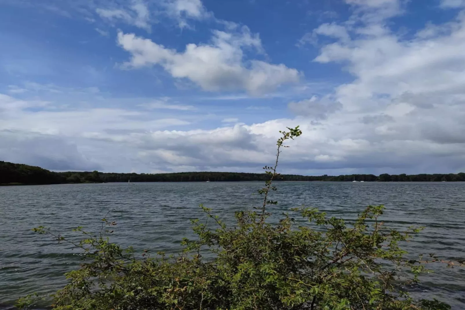 20 persoons vakantie huis in Svendborg-Waterzicht