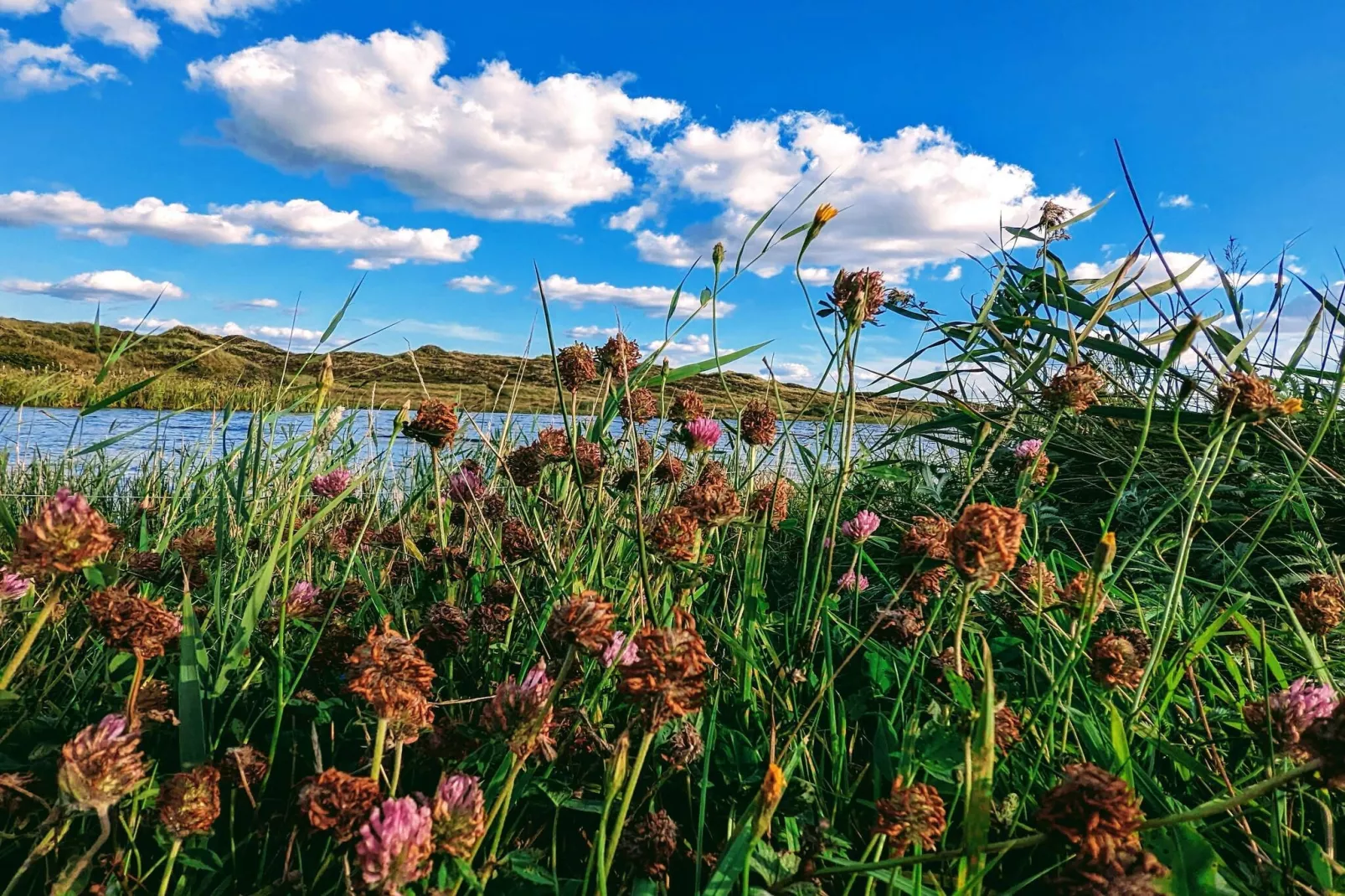 6 persoons vakantie huis in Nørre Nebel
