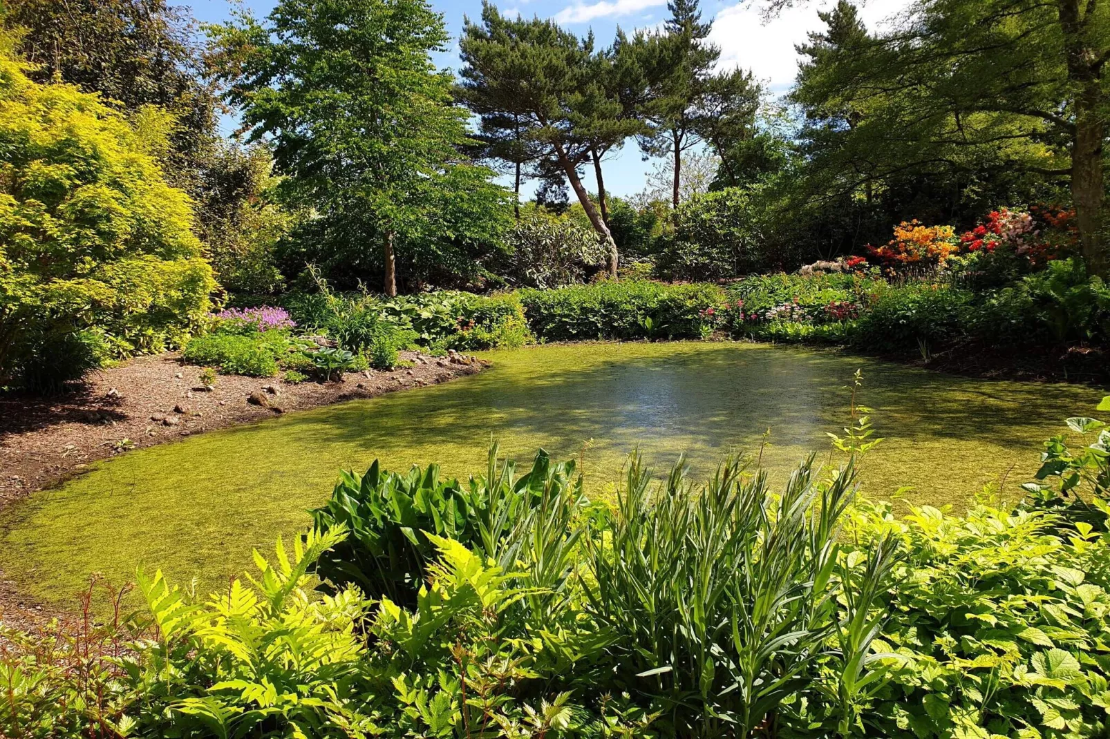 Historische Watertoren Toevluchtsoord-By Traum-Waterzicht