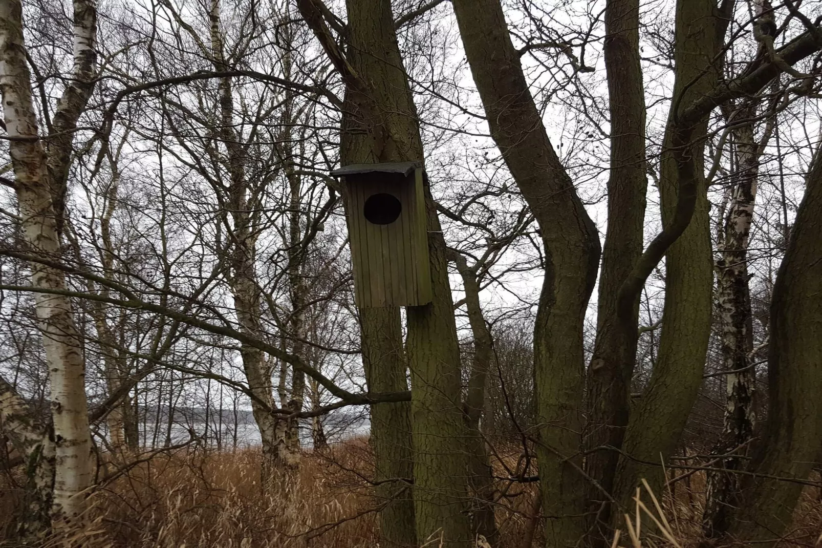 8 persoons vakantie huis in Ebeltoft-Niet-getagd