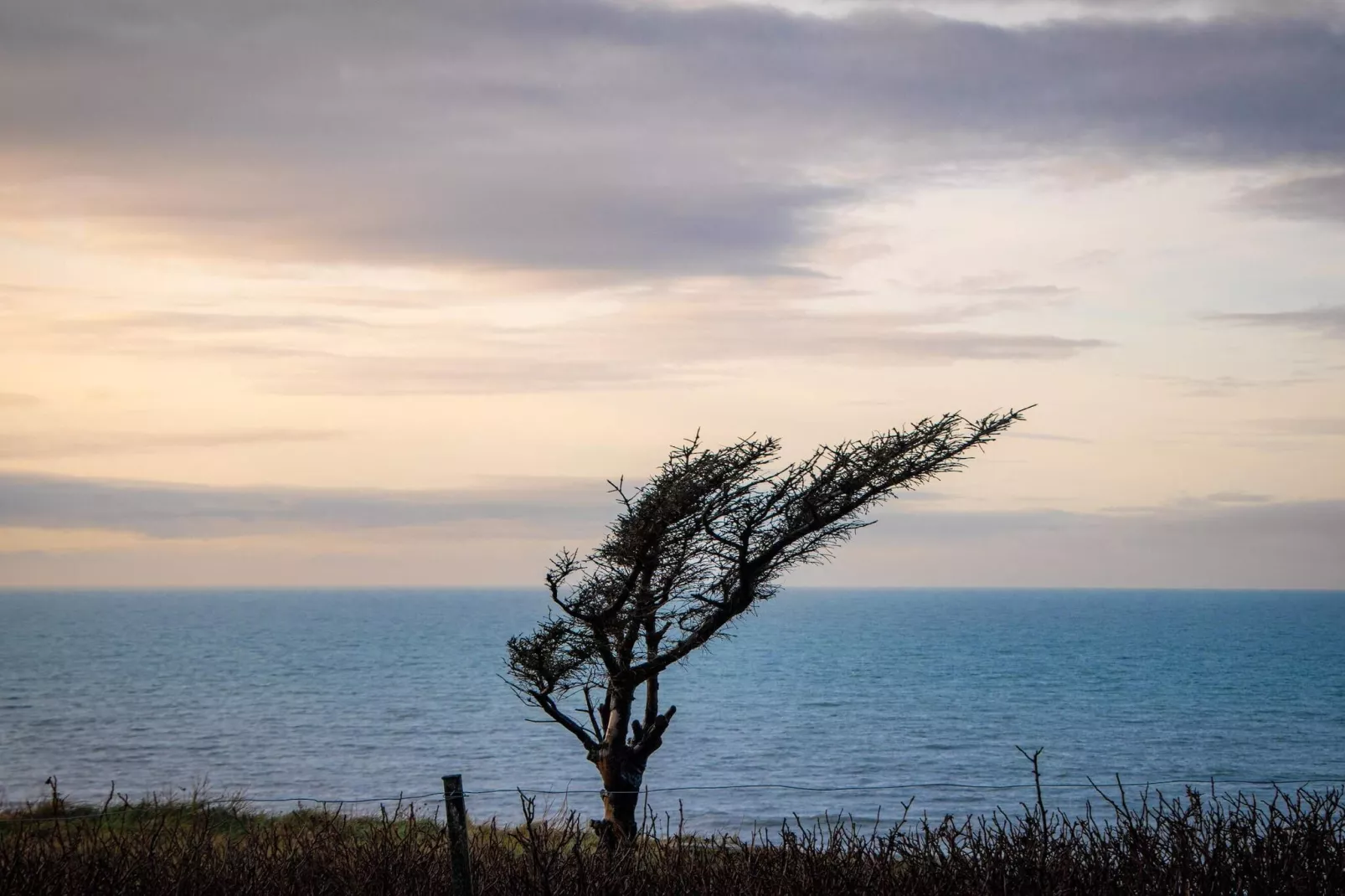 8 persoons vakantie huis in Hjørring-Waterzicht